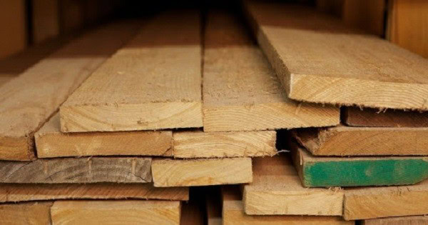 Gỗ Cây Du Trong Thiết Kế Nội Thất 10 Cây Gỗ Du