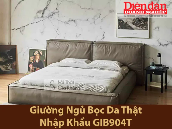 giuong dien dan doanh nghiep