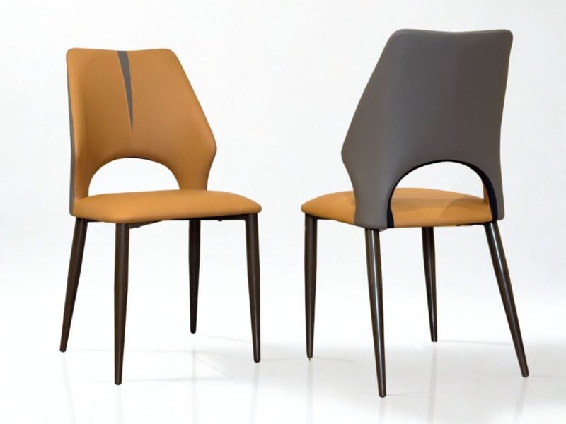 Ghế ăn hiện đại SJM-610