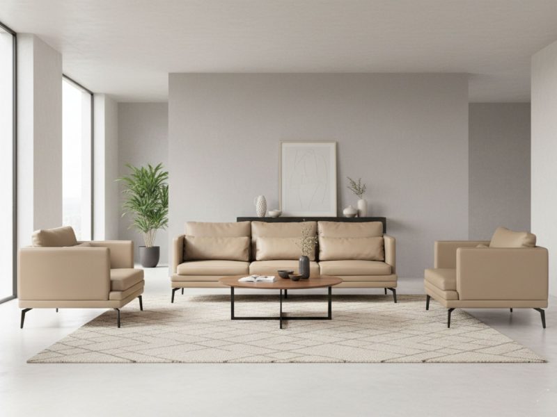 Bộ sofa Hiện Đại Cho Không Gian Phòng Khách BM001-113-C1050