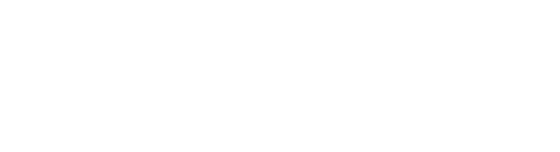 VEINTECH