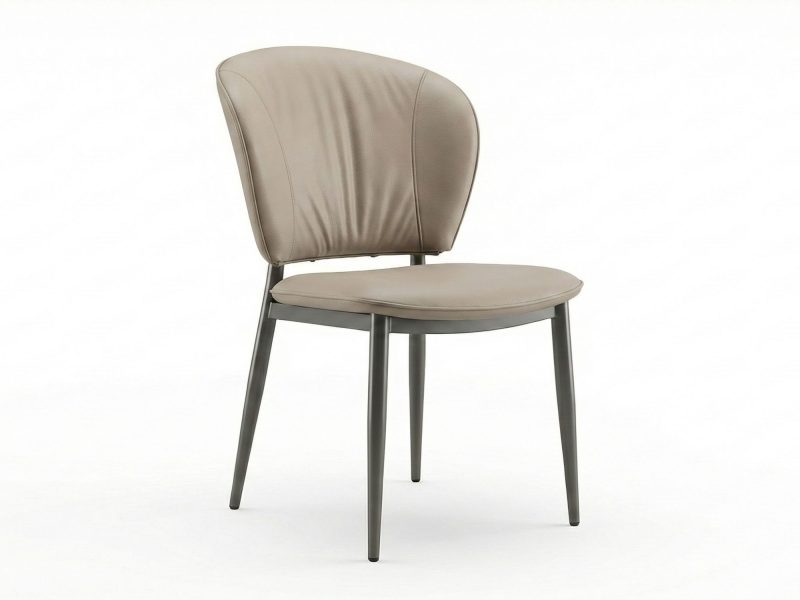 Ghế Ăn Hiện Đại GAA99