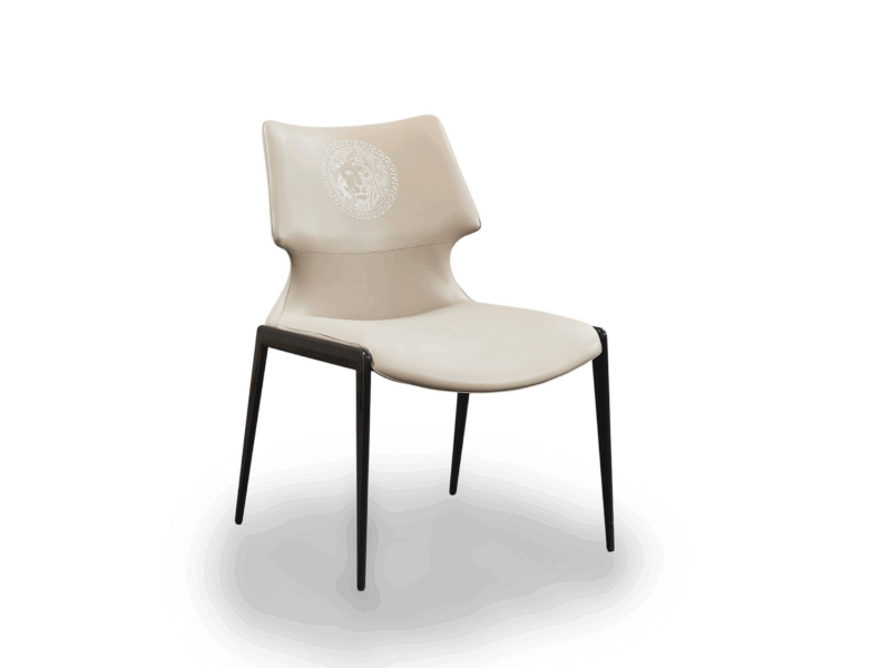 Ghế Ăn Hiện Đại Sang Trọng GAY105-2