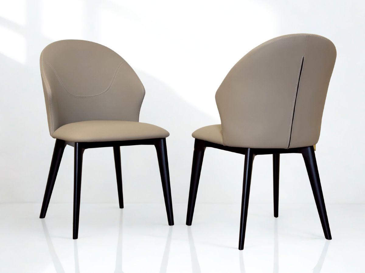 Ghế Ăn Hiện Đại GAC21