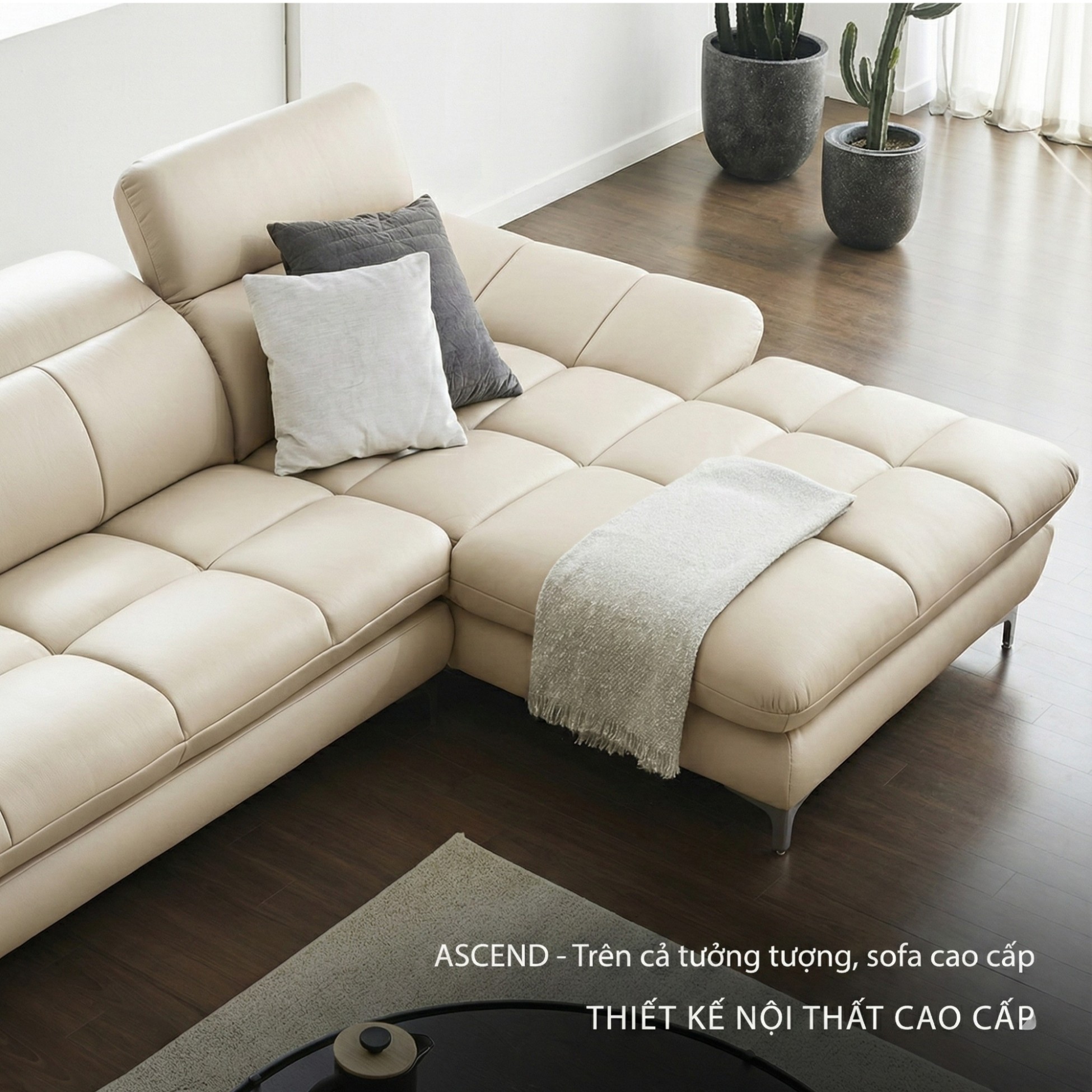 Sofa ASCEND - Sofa Băng Hiện Đại Cho Chủ Nhà Trẻ Trung