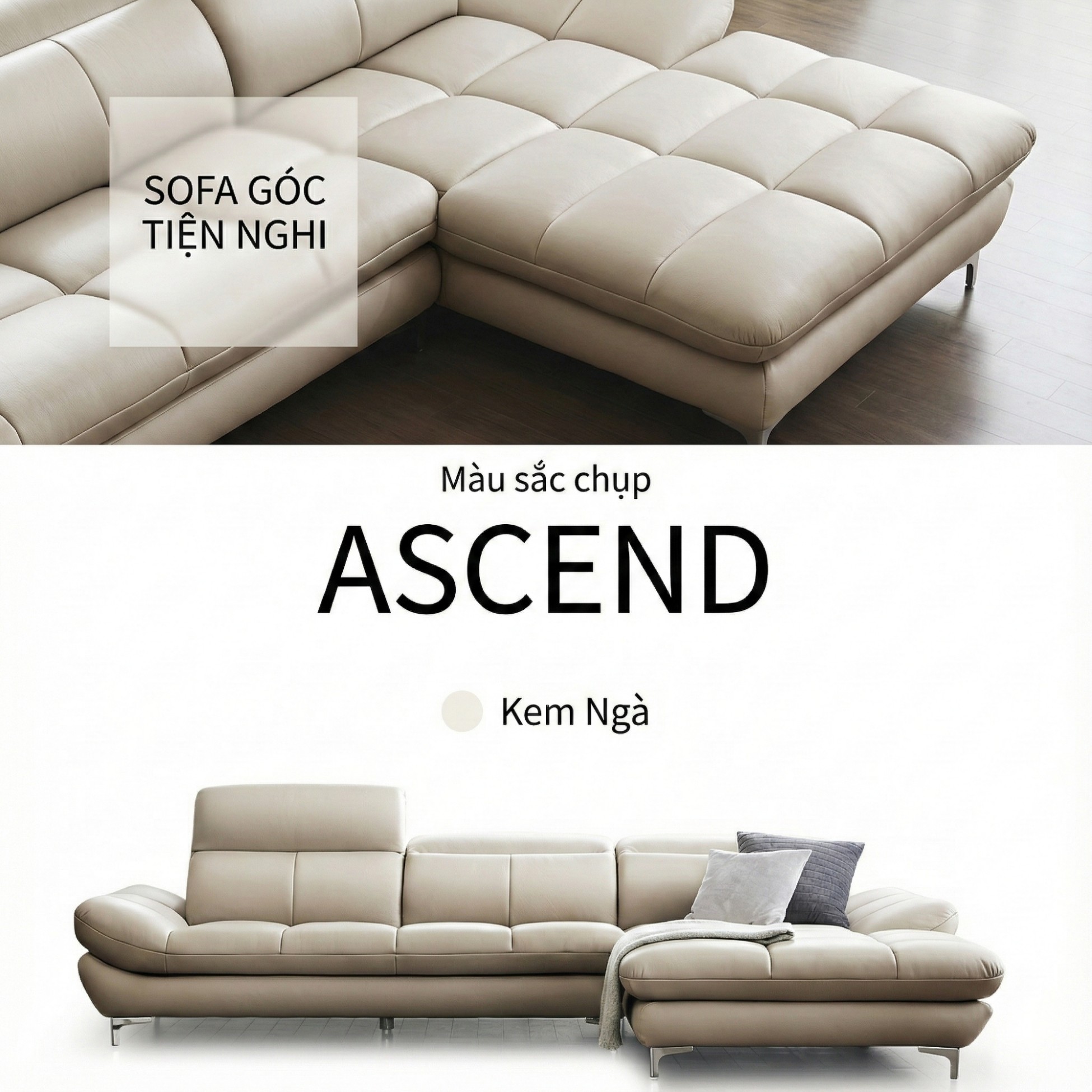 Sofa ASCEND - Sofa Băng Hiện Đại Cho Chủ Nhà Trẻ Trung