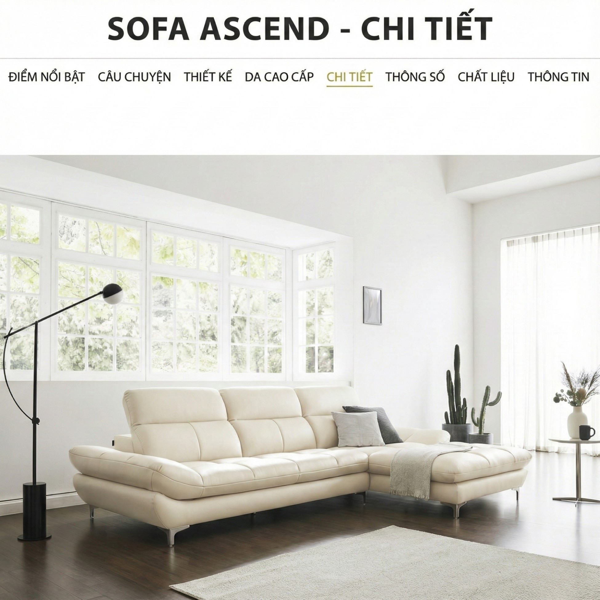 Sofa ASCEND - Sofa Băng Hiện Đại Cho Chủ Nhà Trẻ Trung