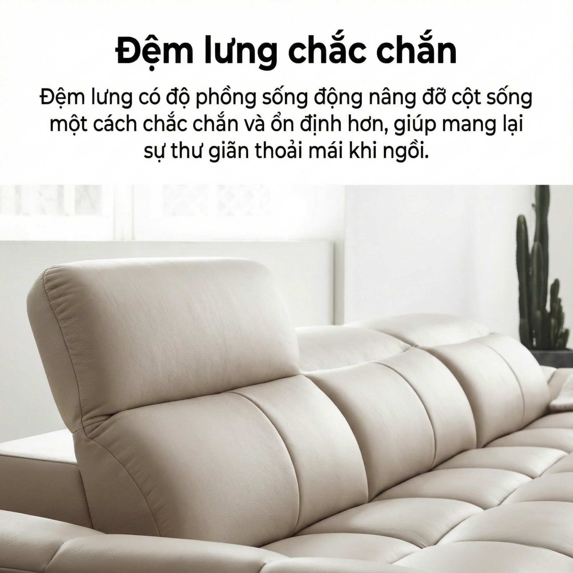 Sofa ASCEND - Sofa Băng Hiện Đại Cho Chủ Nhà Trẻ Trung