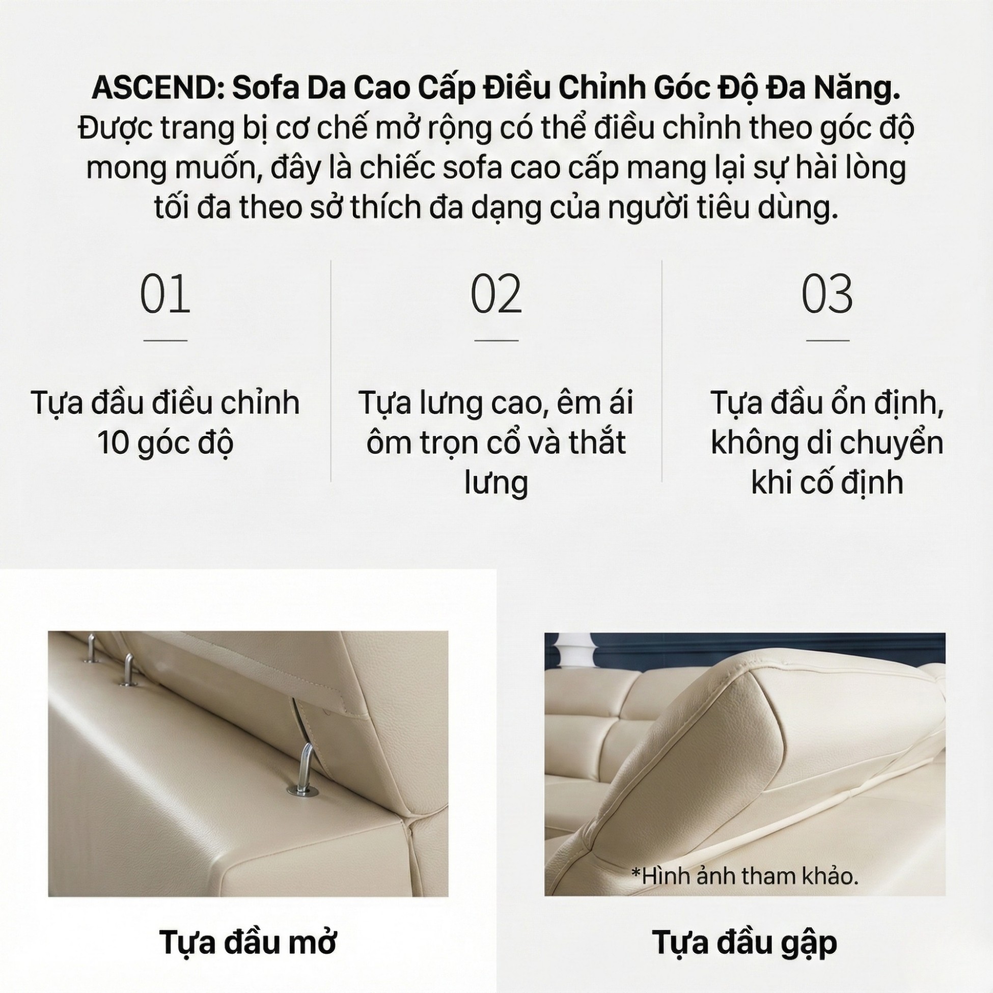 Sofa ASCEND - Sofa Băng Hiện Đại Cho Chủ Nhà Trẻ Trung