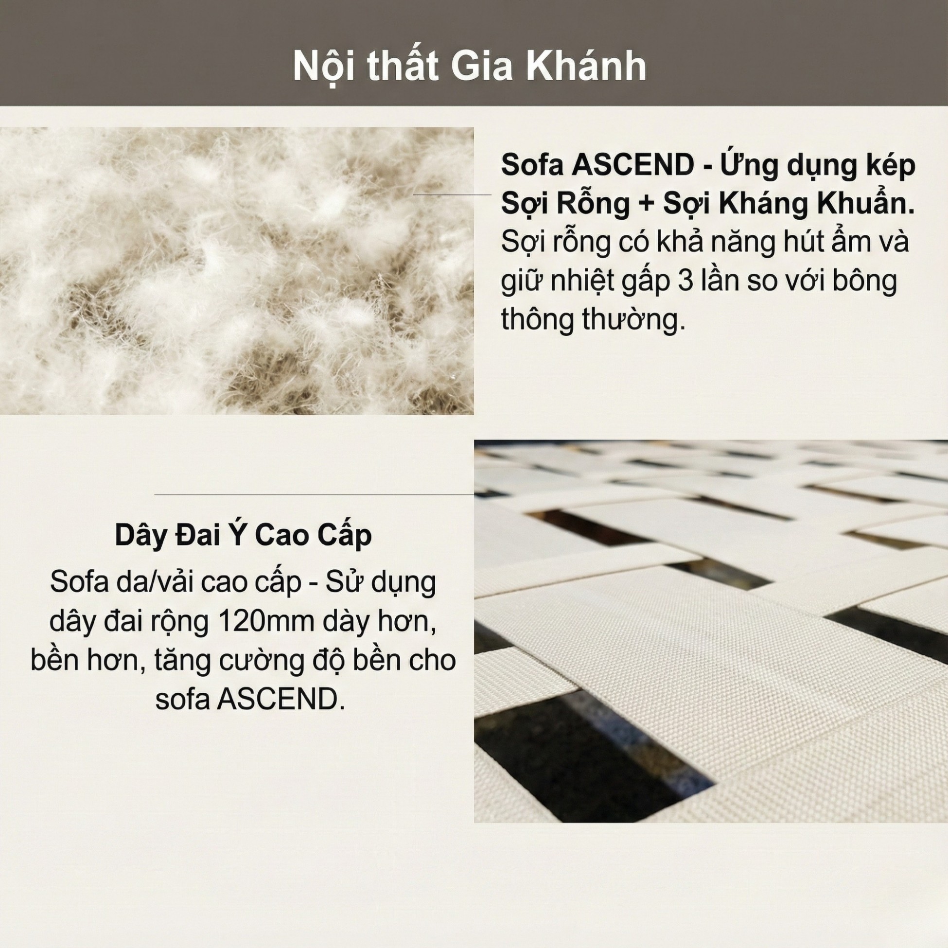 Sofa ASCEND - Sofa Băng Hiện Đại Cho Chủ Nhà Trẻ Trung