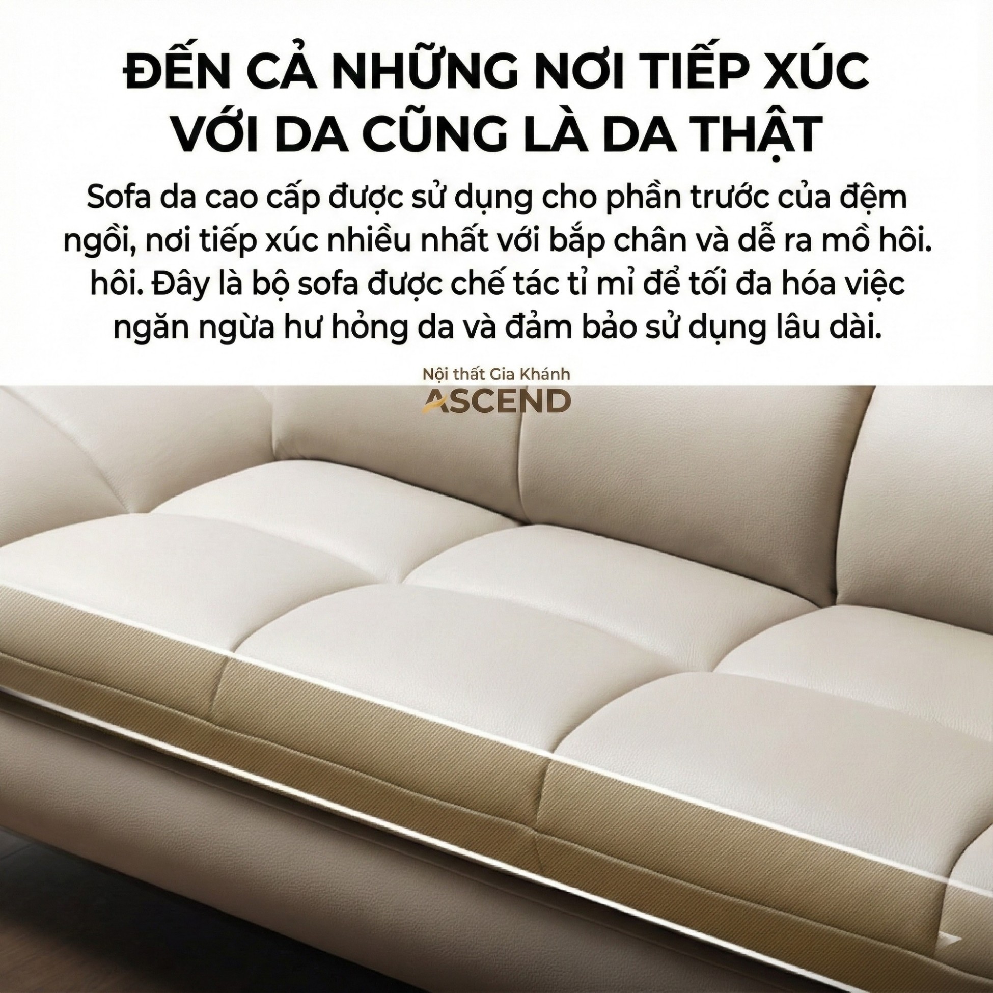 Sofa ASCEND - Sofa Băng Hiện Đại Cho Chủ Nhà Trẻ Trung