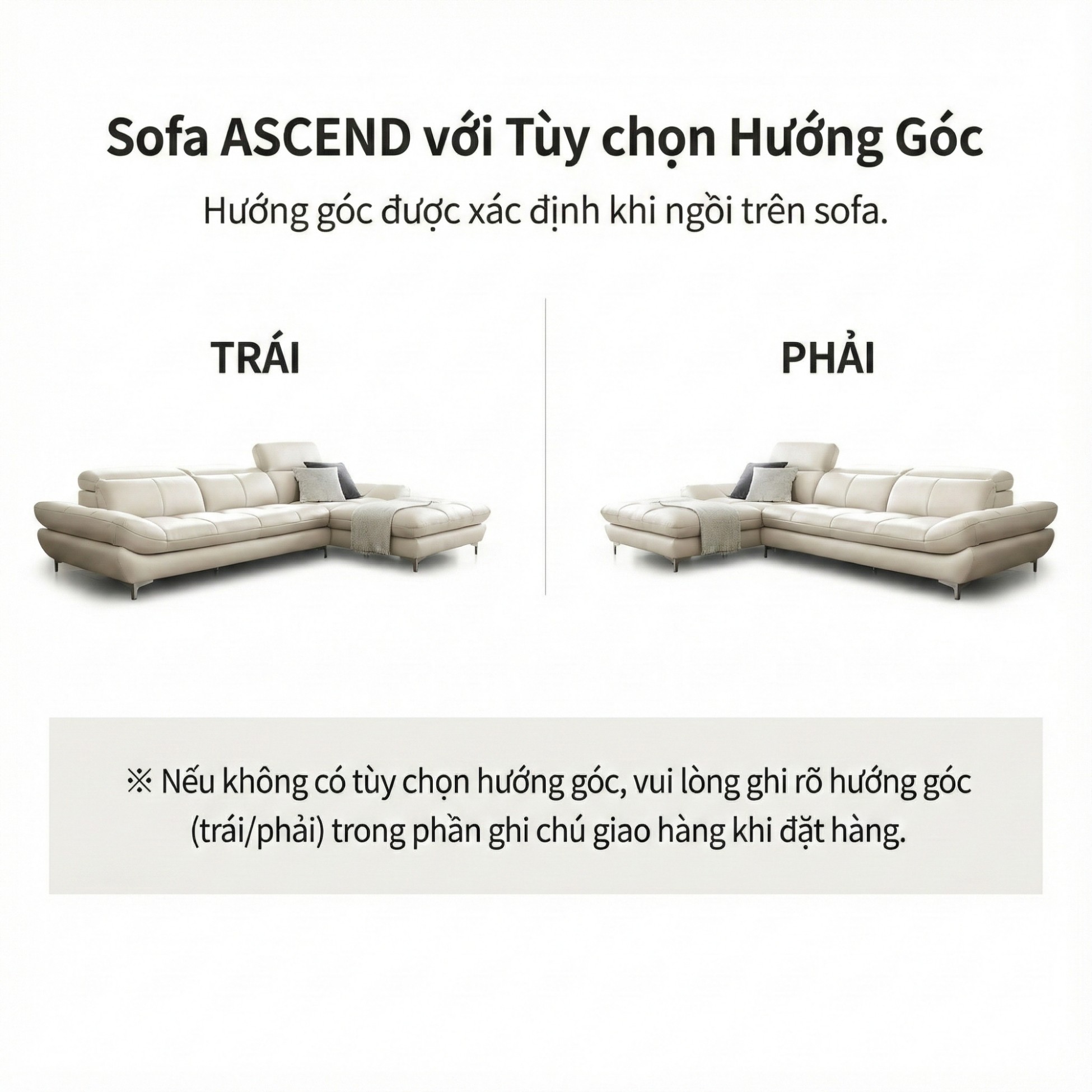 Sofa ASCEND - Sofa Băng Hiện Đại Cho Chủ Nhà Trẻ Trung