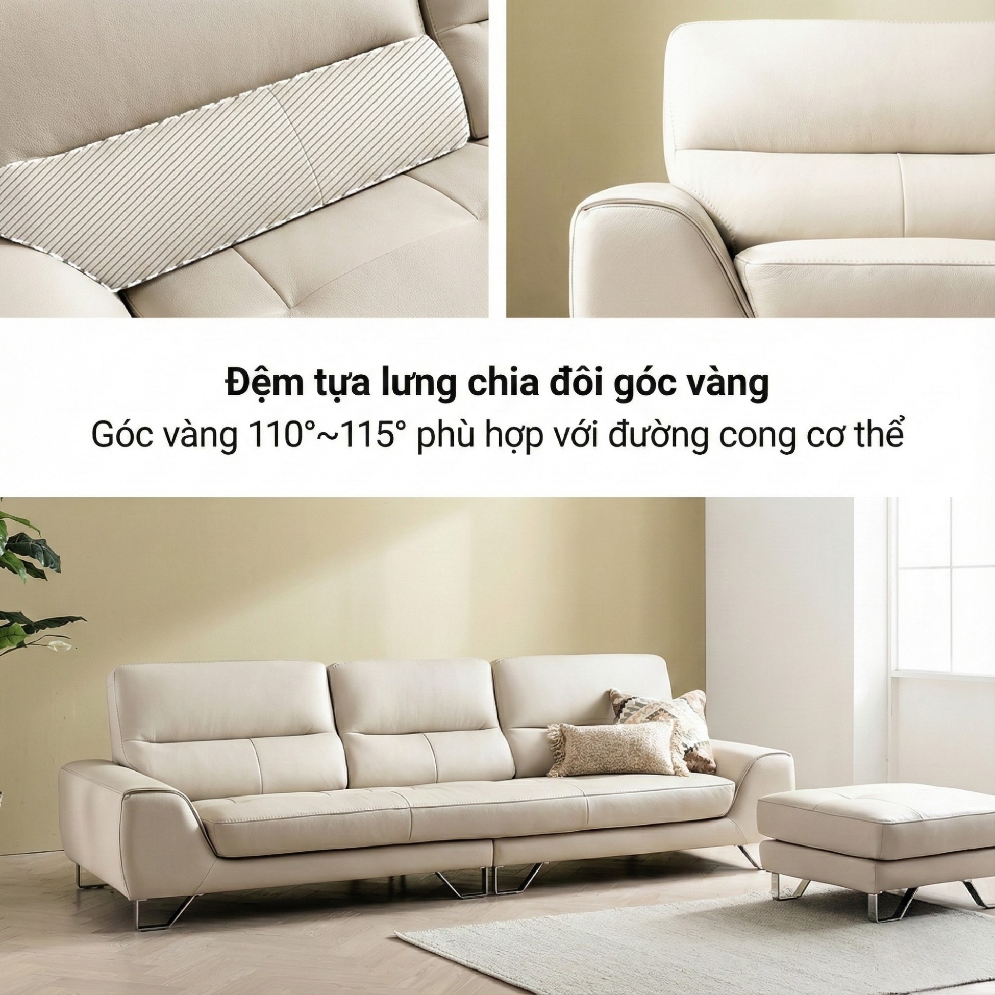 Sofa CLASSICUS - Sofa Hiện Đại Bọc Da Êm Ái Cho Gia Đình