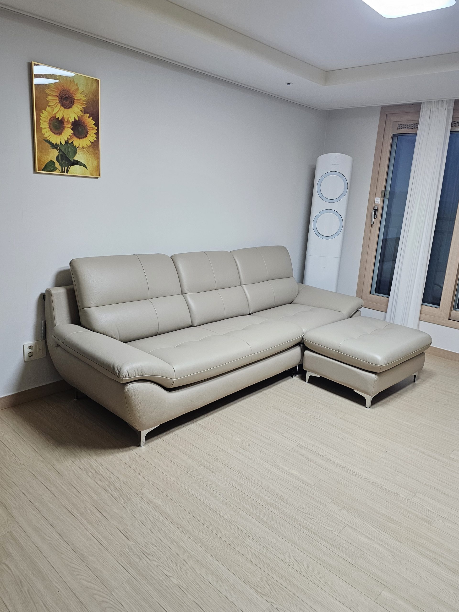 Sofa COASTAL - Sofa Da Hiện Đại Tinh Tế Cho Phòng Khách Trẻ Trung