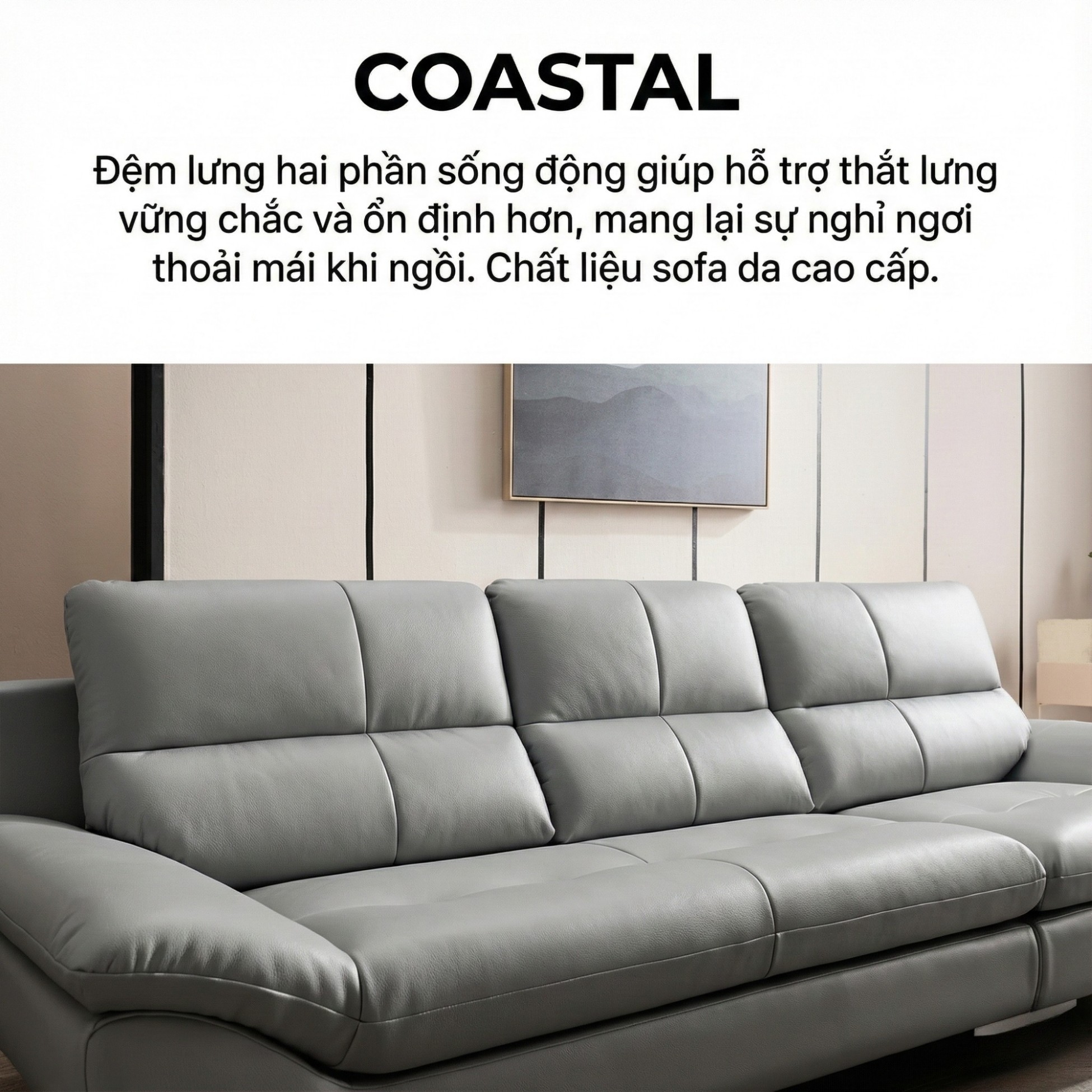 Sofa COASTAL - Sofa Da Hiện Đại Tinh Tế Cho Phòng Khách Trẻ Trung