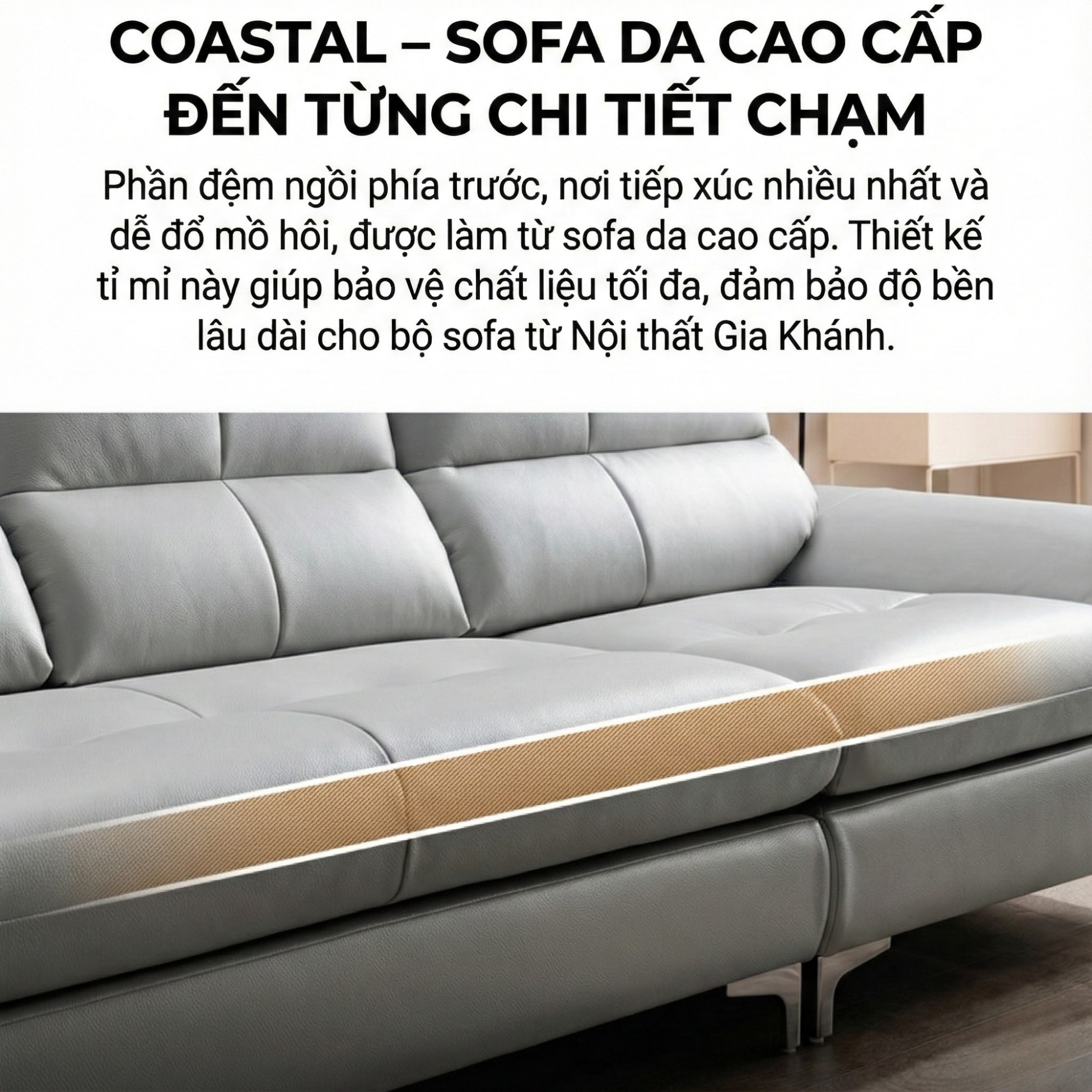 Sofa COASTAL - Sofa Da Hiện Đại Tinh Tế Cho Phòng Khách Trẻ Trung