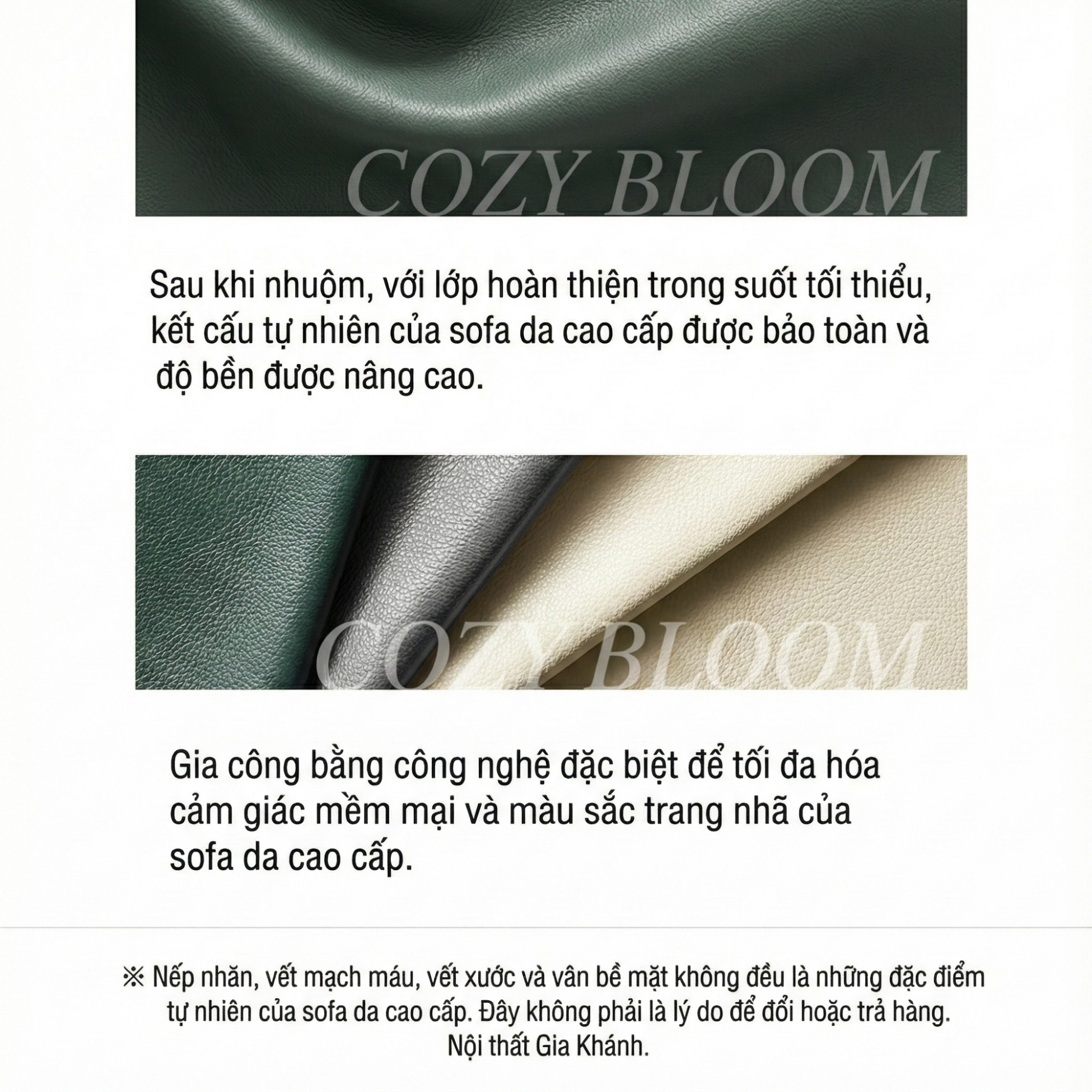 Sofa COZY BLOOM – Sofa Module Tròn Thiết Kế Độc Đáo