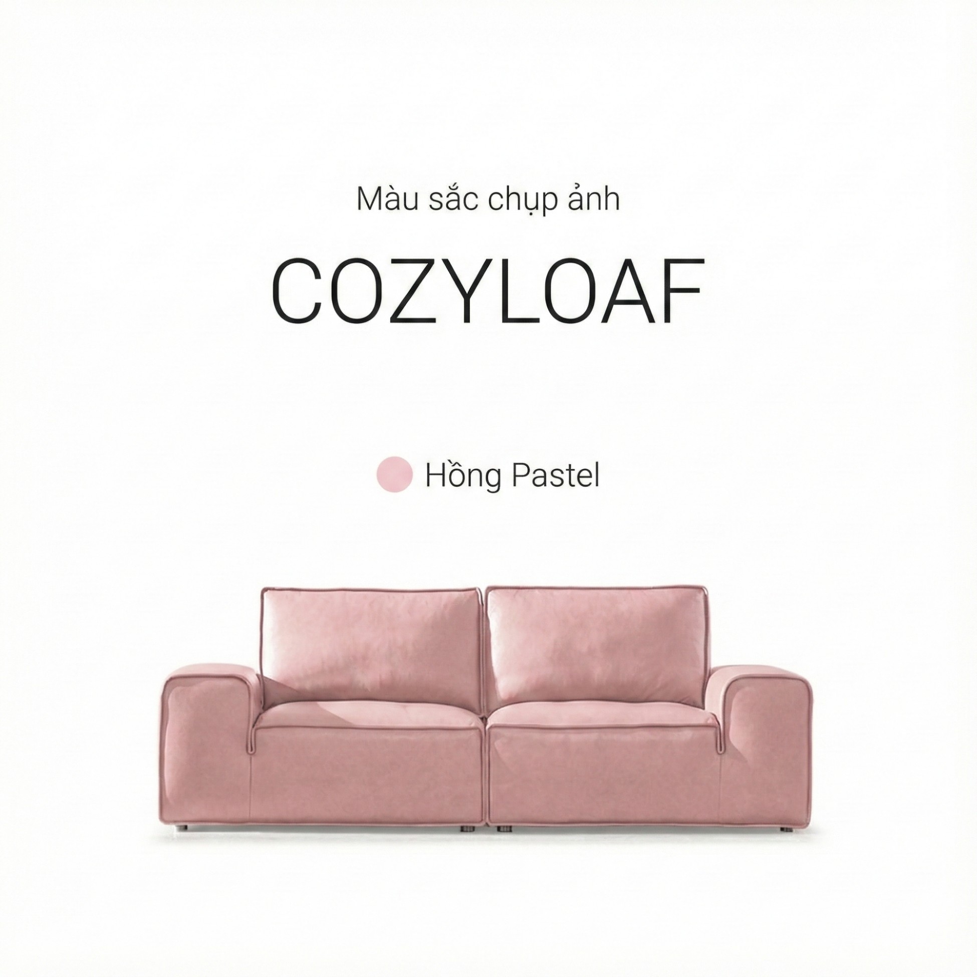Sofa COZYLOAF – Sofa Da Dáng Băng Hiện Đại Êm Ái Thiết Kế Tối Giản