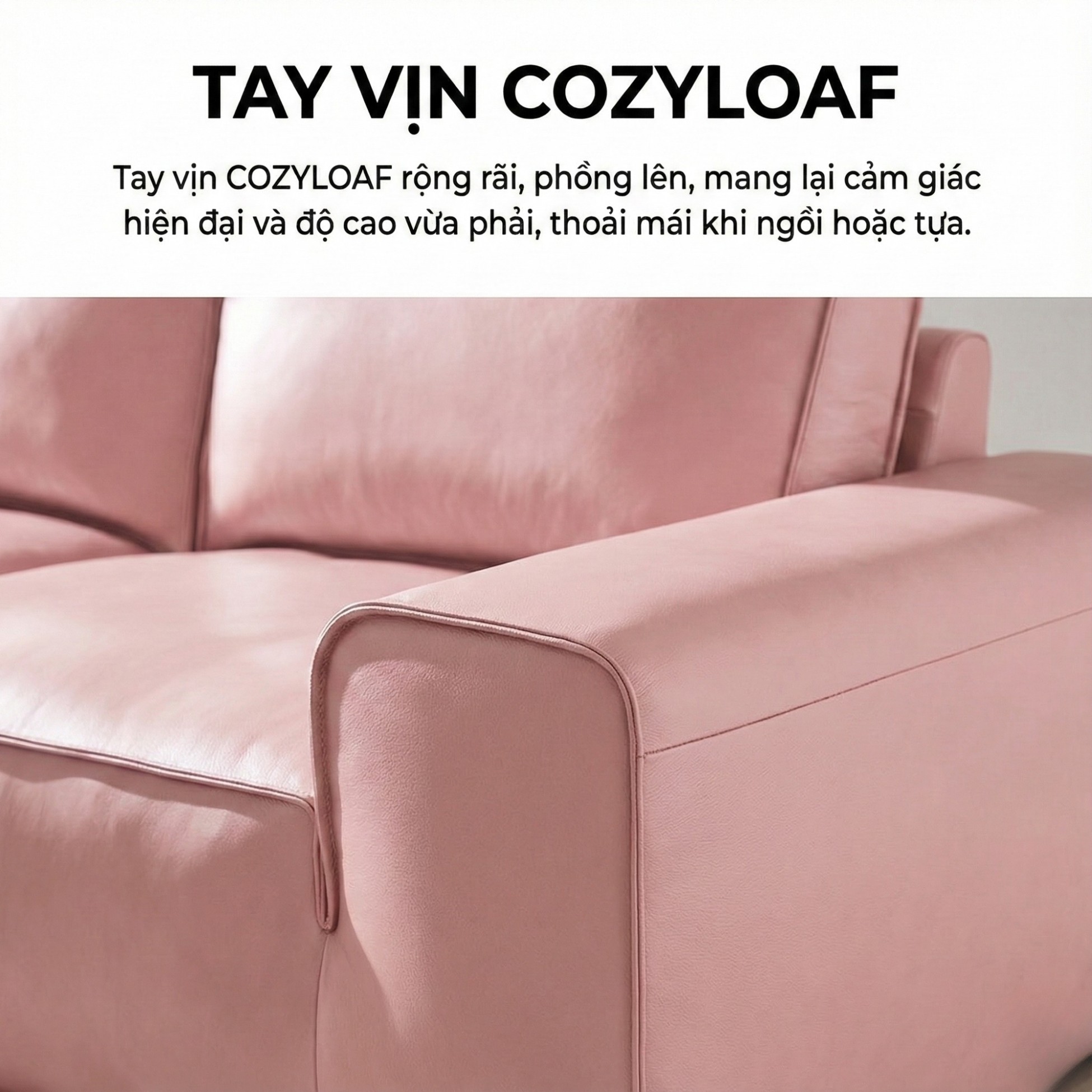 Sofa COZYLOAF – Sofa Da Dáng Băng Hiện Đại Êm Ái Thiết Kế Tối Giản