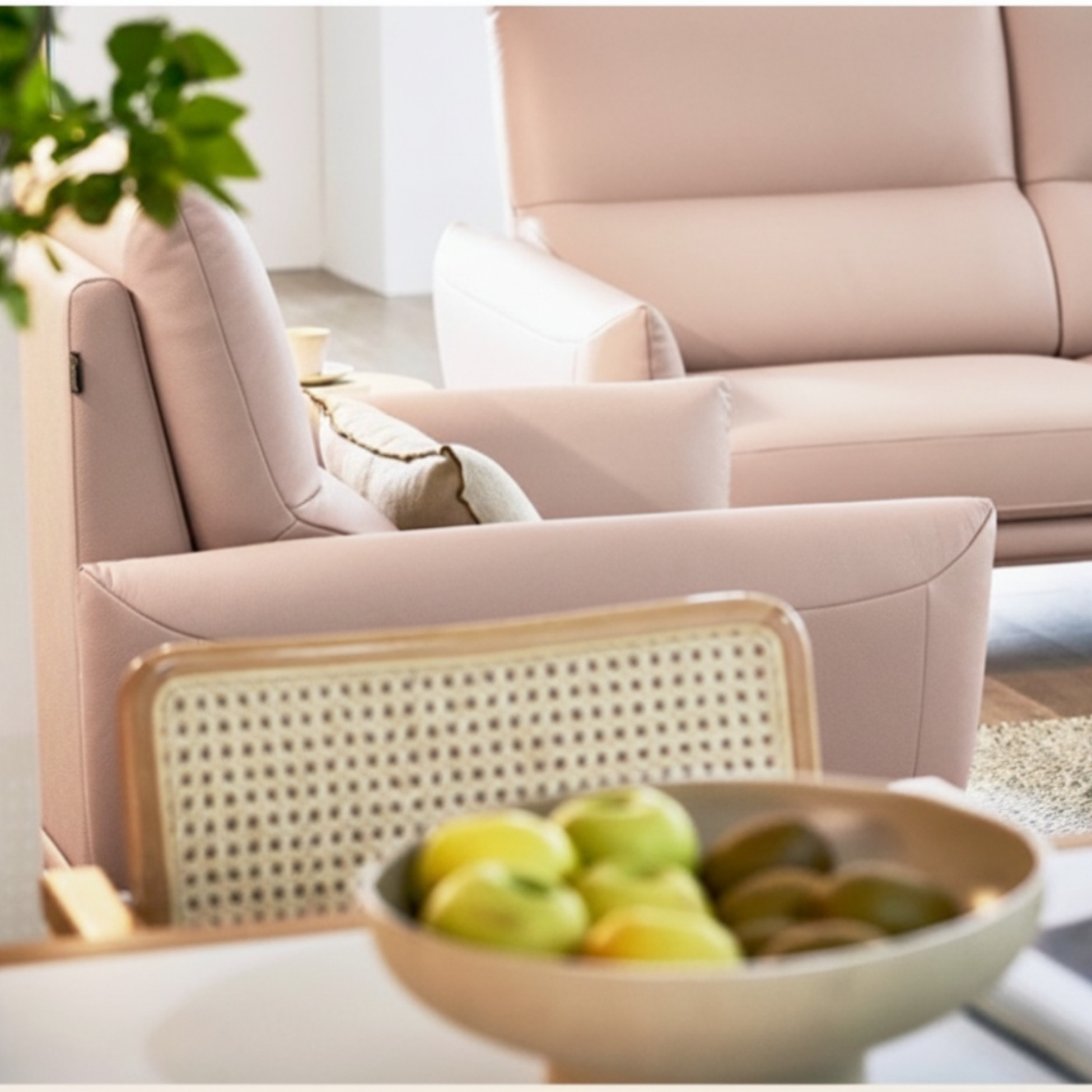 sofa elly sofa da dáng đơn hiện đại