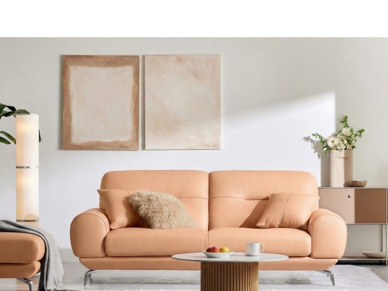 Sofa SOFTDAY – Sofa Da Cao Cấp Hiện Đại Và Trẻ Trung Cho Gia Đình