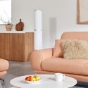 Sofa SOFTDAY – Sofa Da Cao Cấp Hiện Đại Và Trẻ Trung Cho Gia Đình