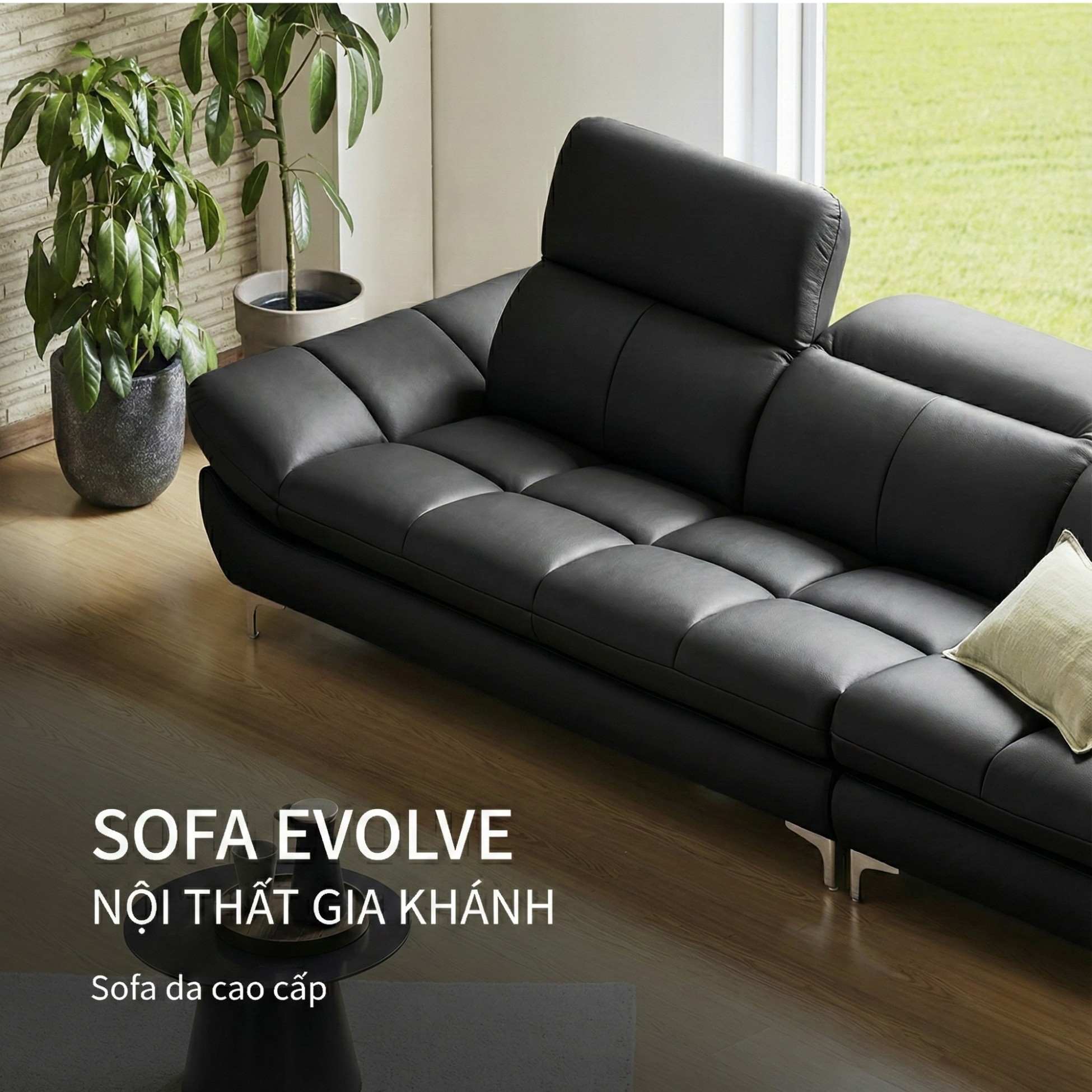 sofa evolve hiện đại