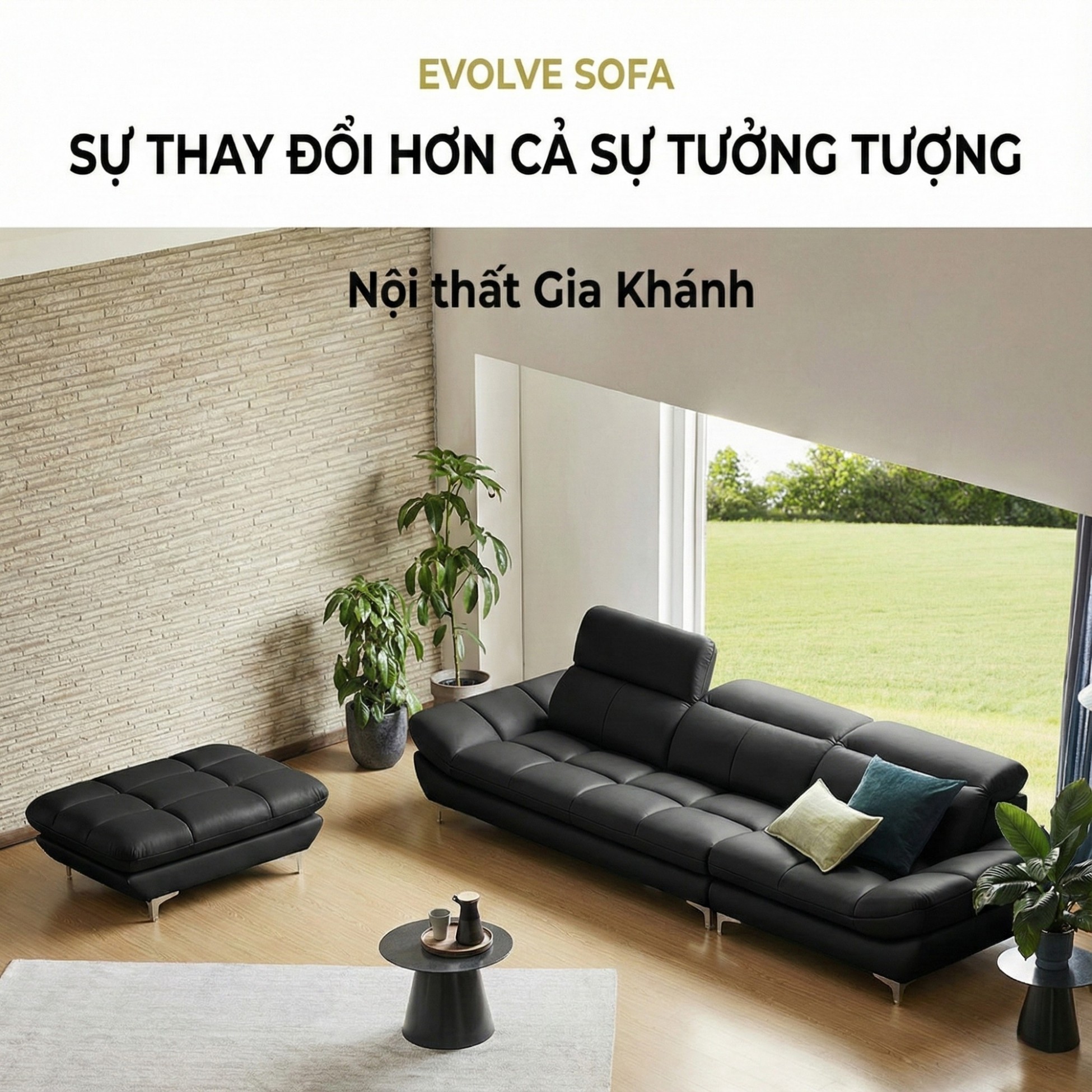 sofa evolve hiện đại