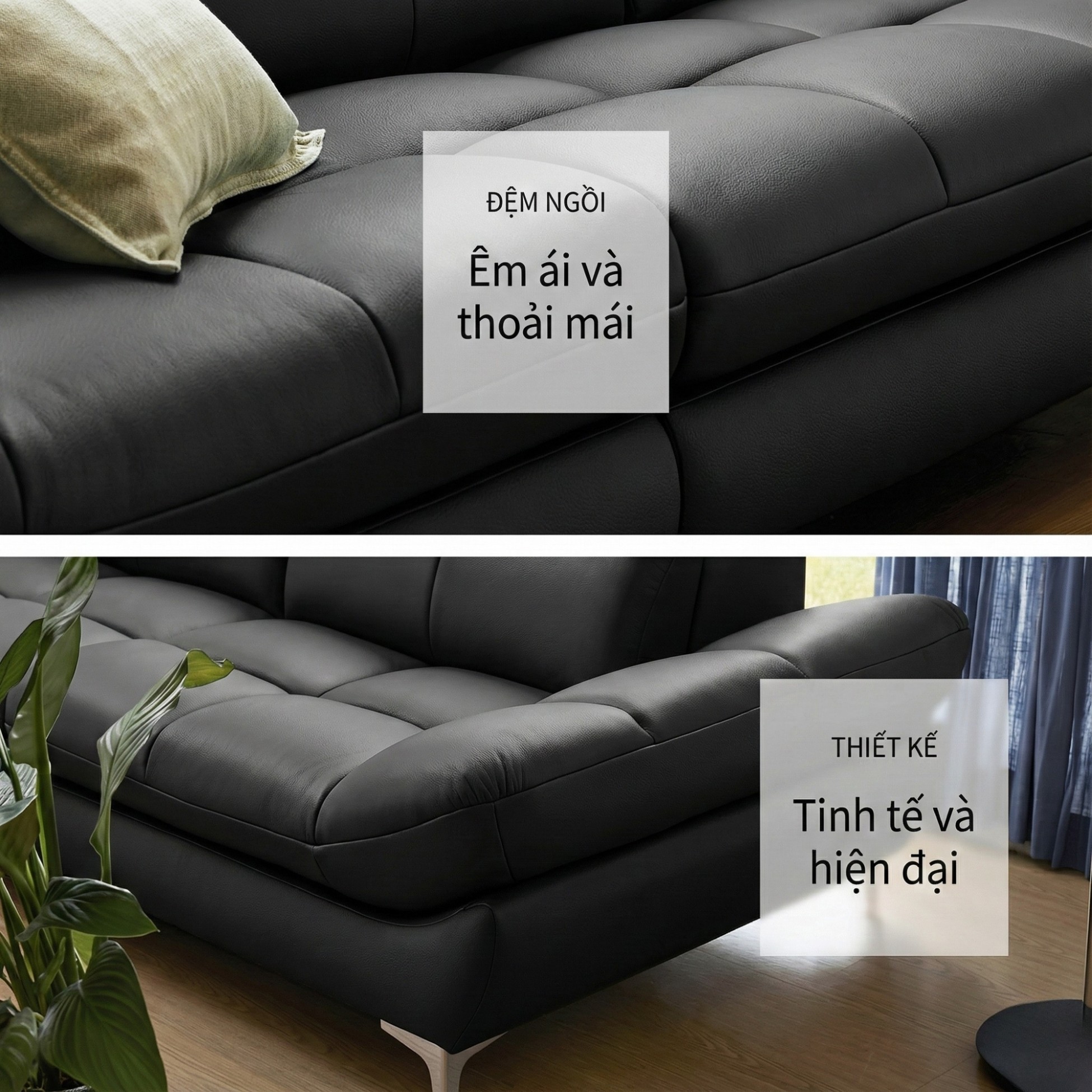 sofa evolve hiện đại