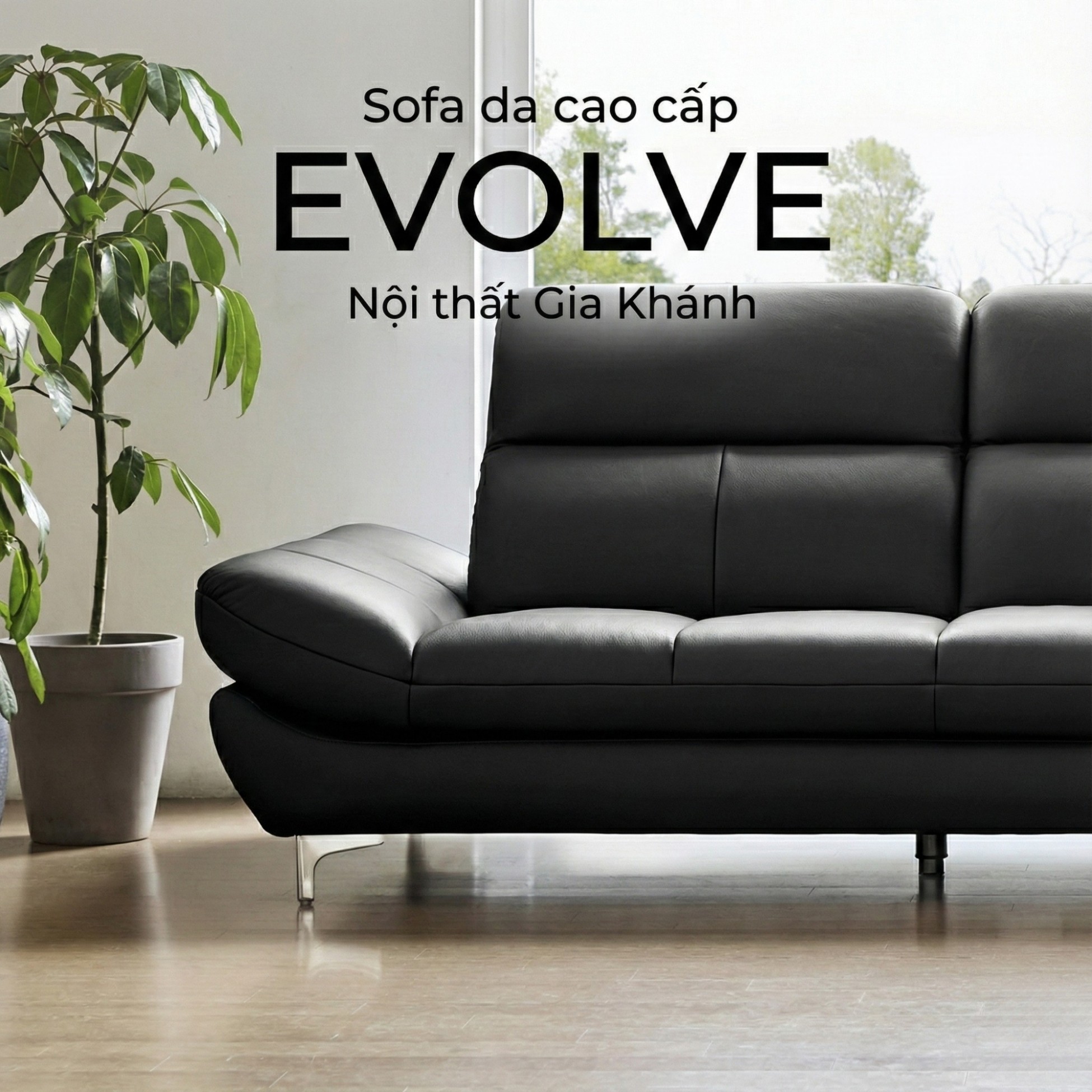 sofa evolve hiện đại