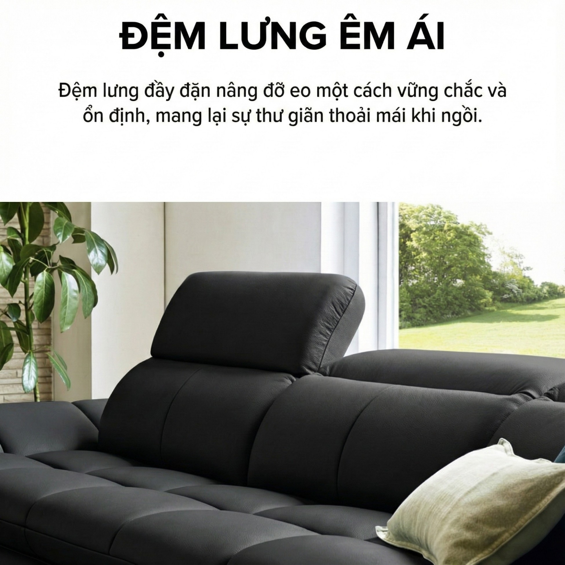 sofa evolve hiện đại