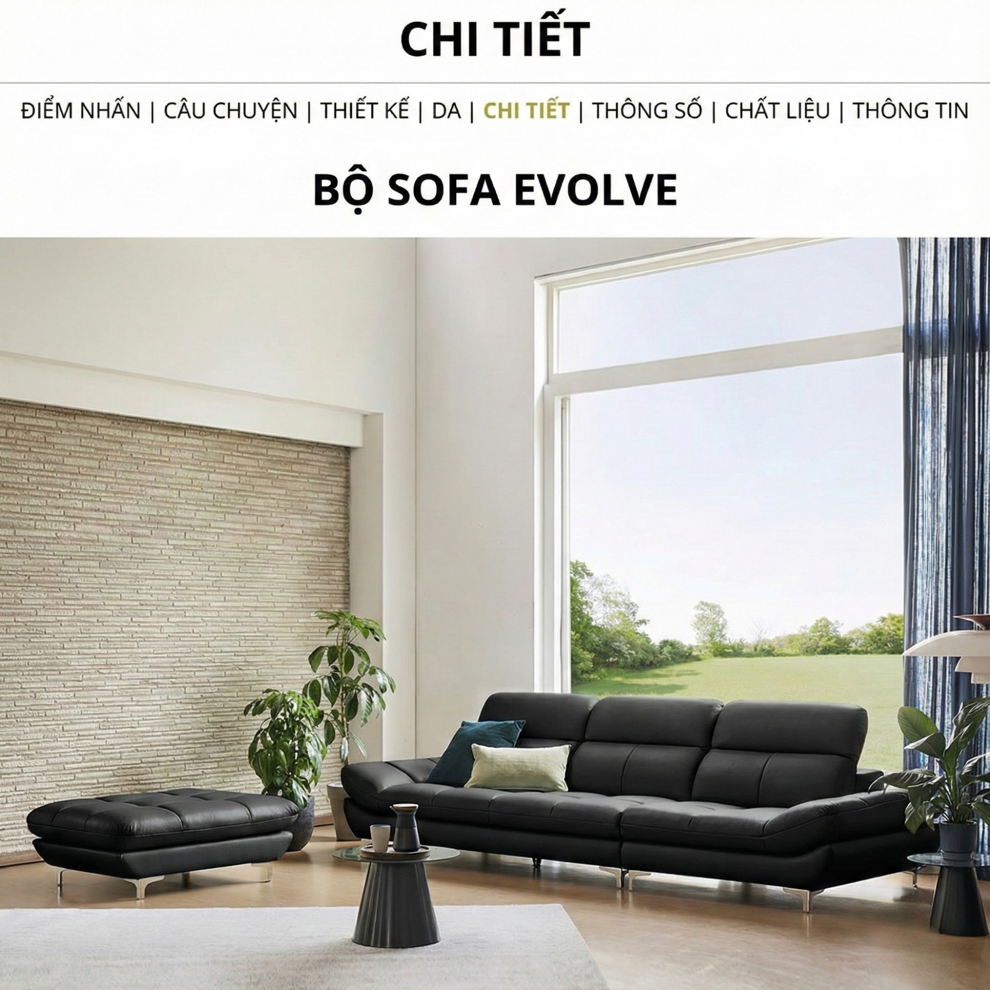 sofa evolve hiện đại