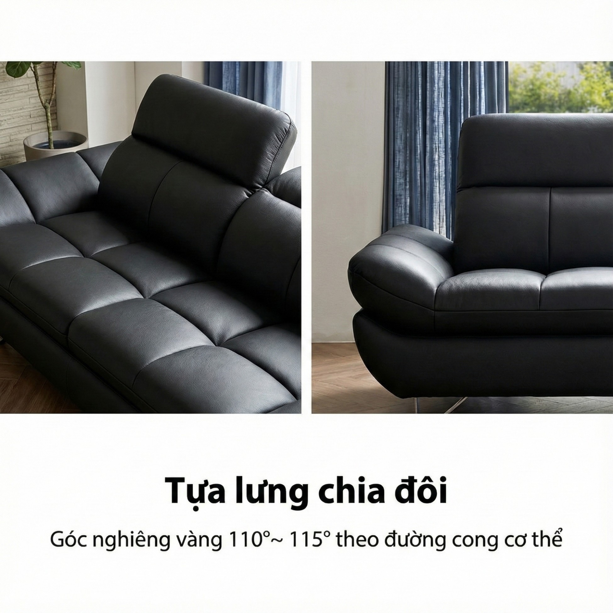 sofa evolve hiện đại