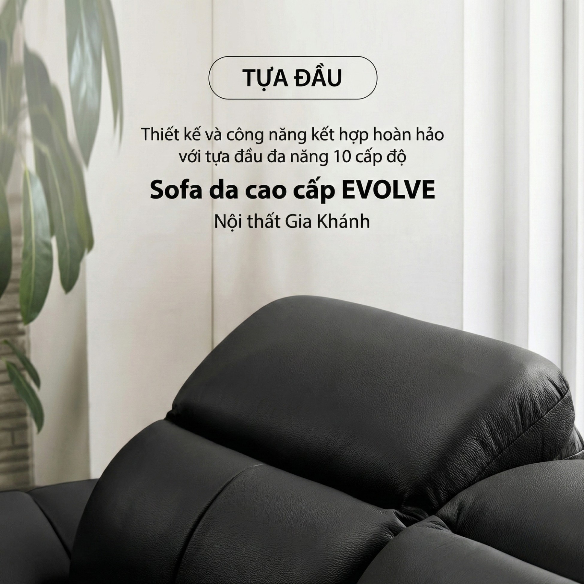 sofa evolve hiện đại