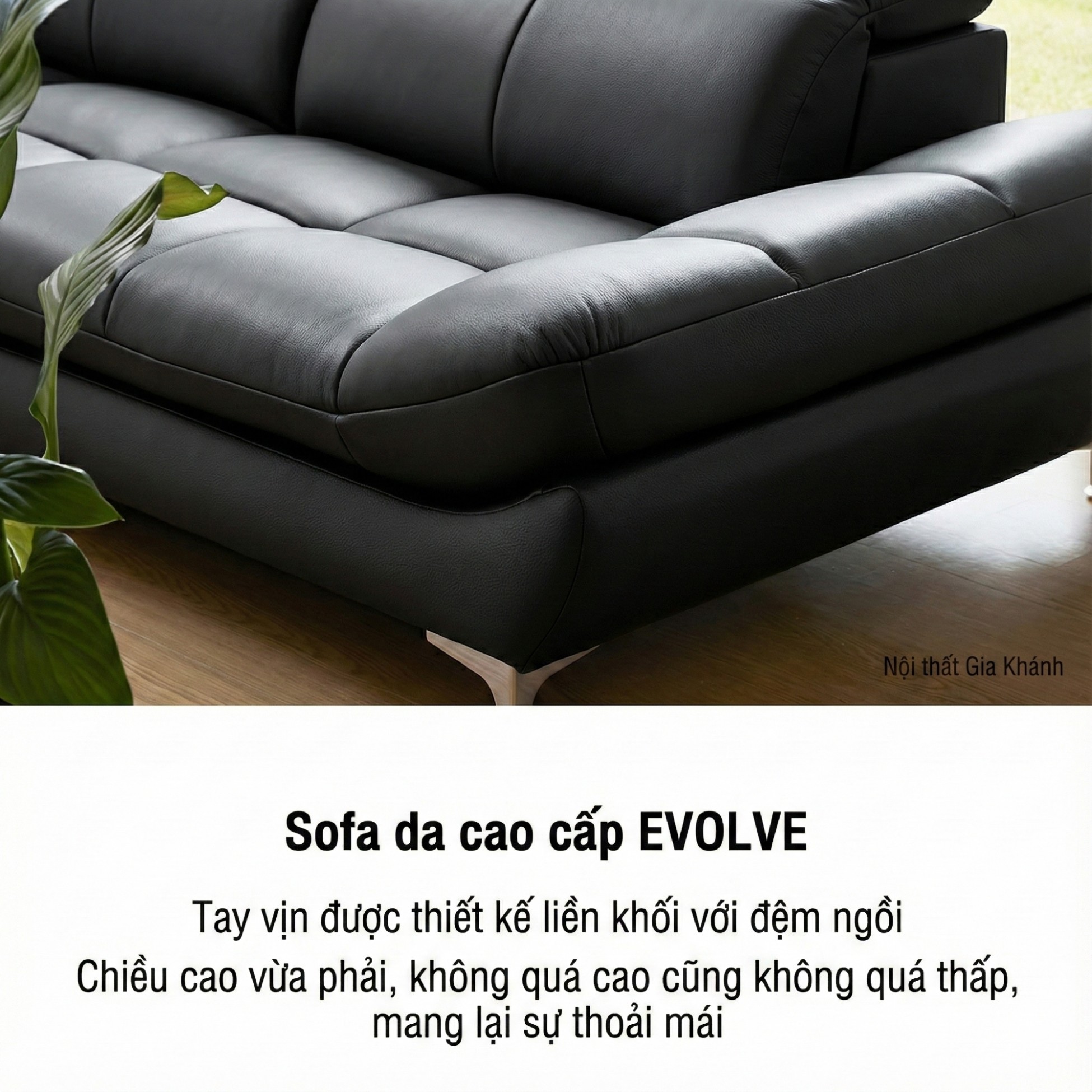 sofa evolve hiện đại