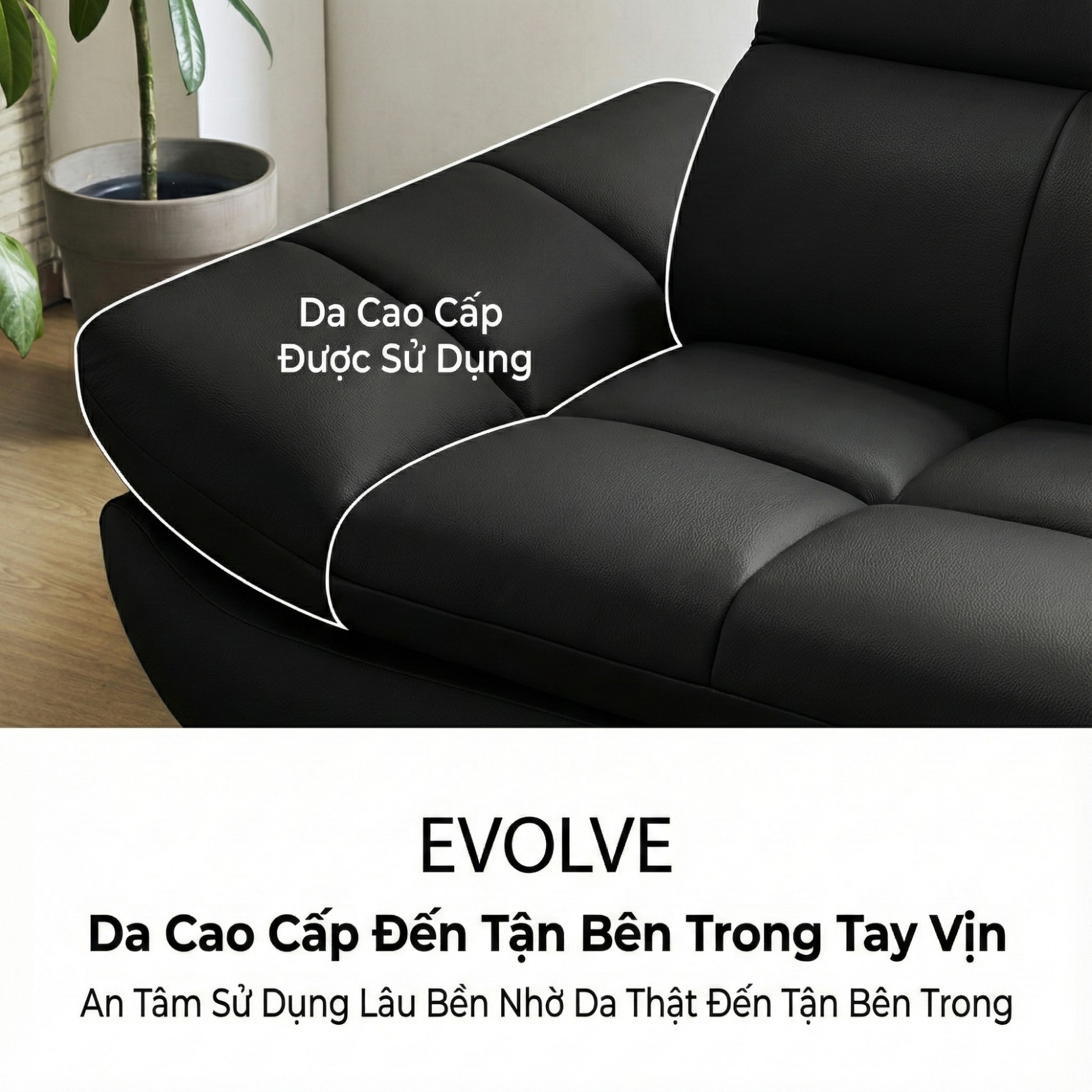 sofa evolve hiện đại