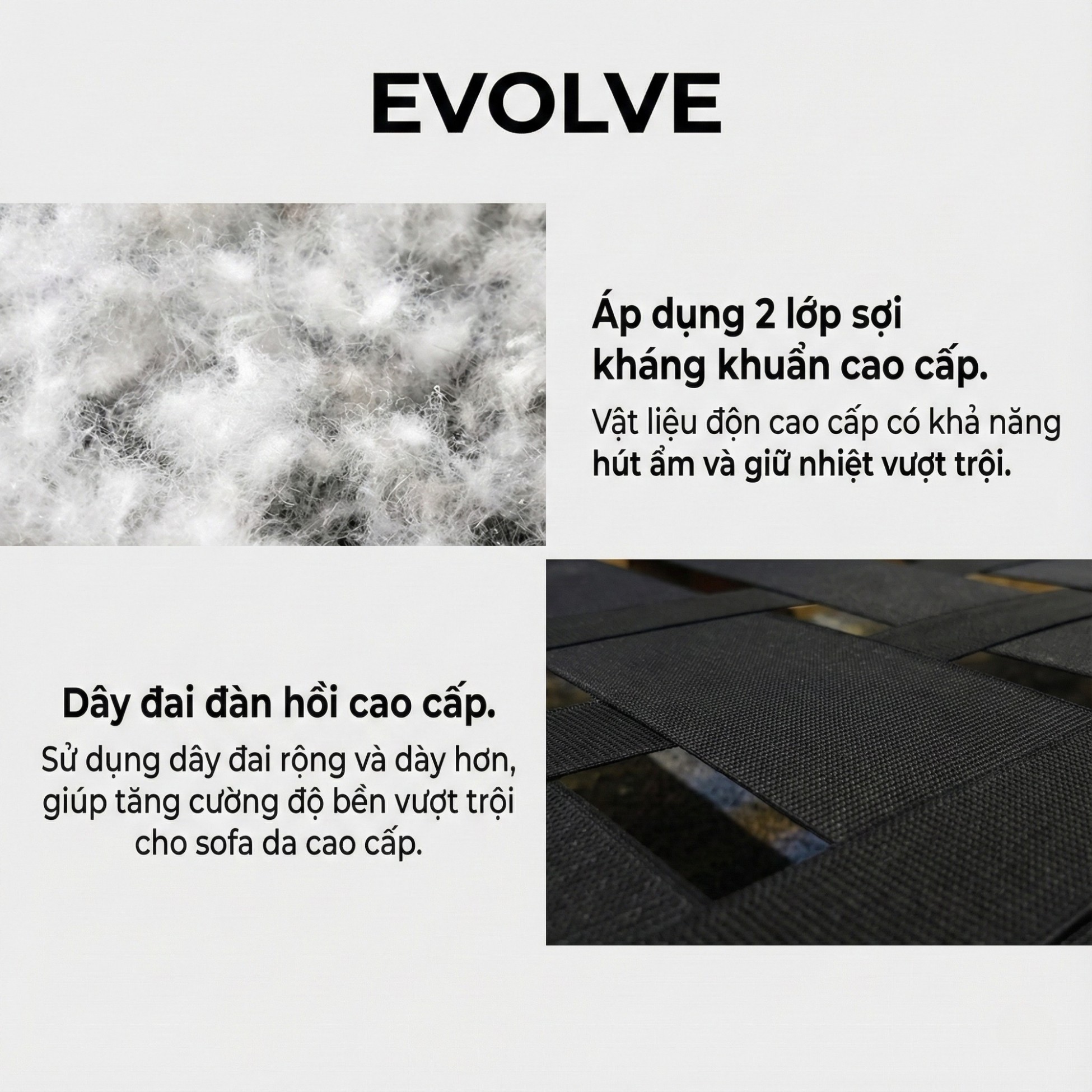 sofa evolve hiện đại