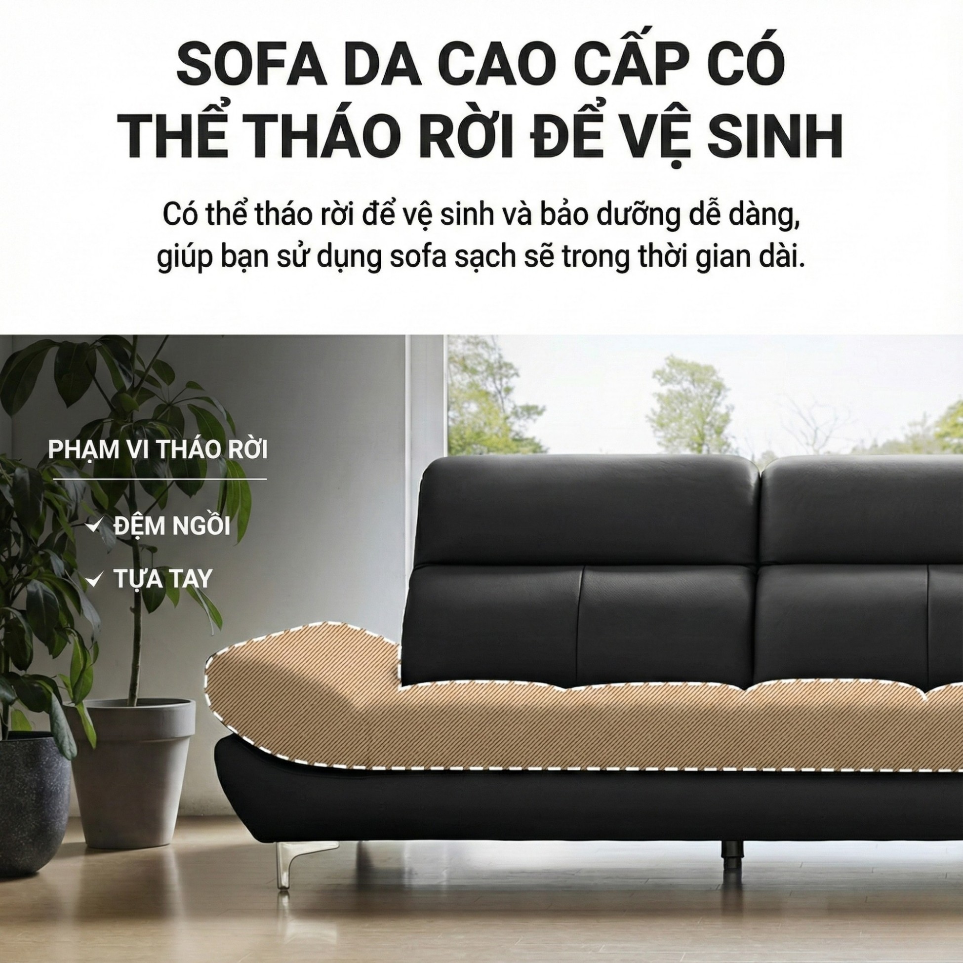 sofa evolve hiện đại