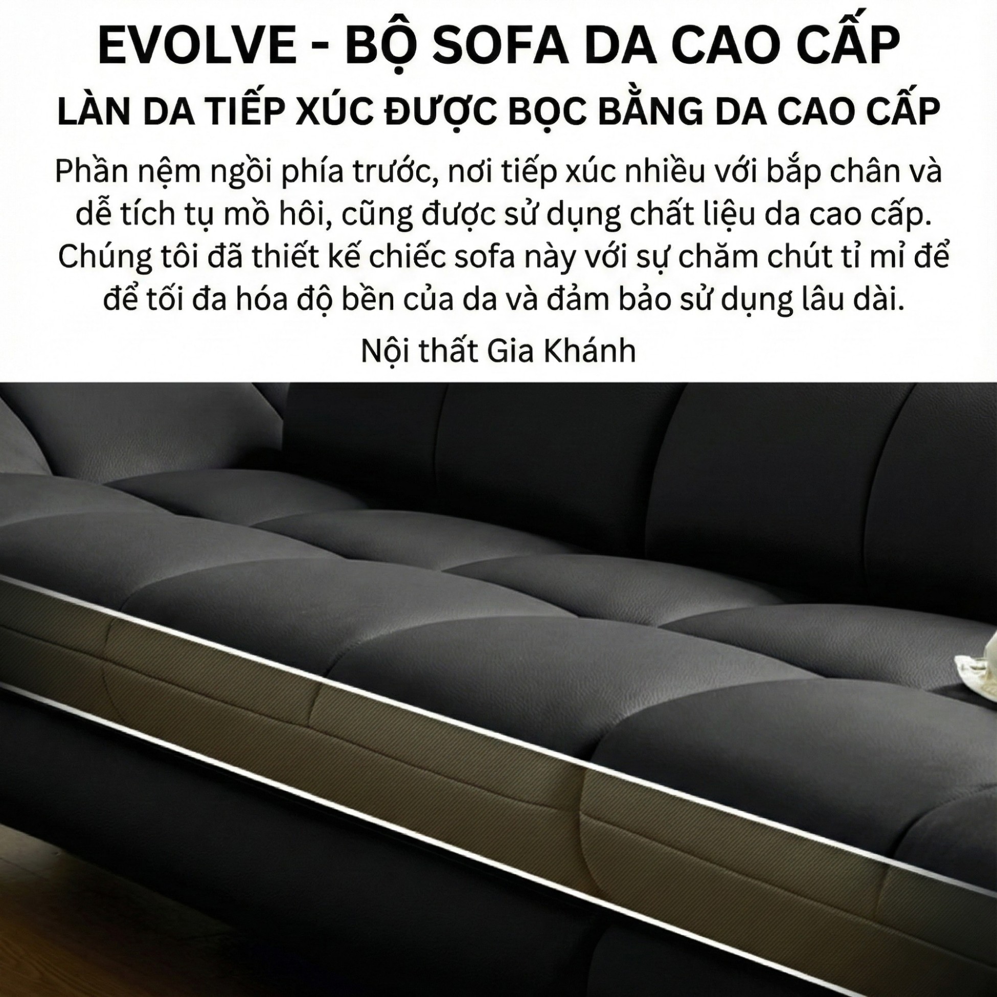 sofa evolve hiện đại