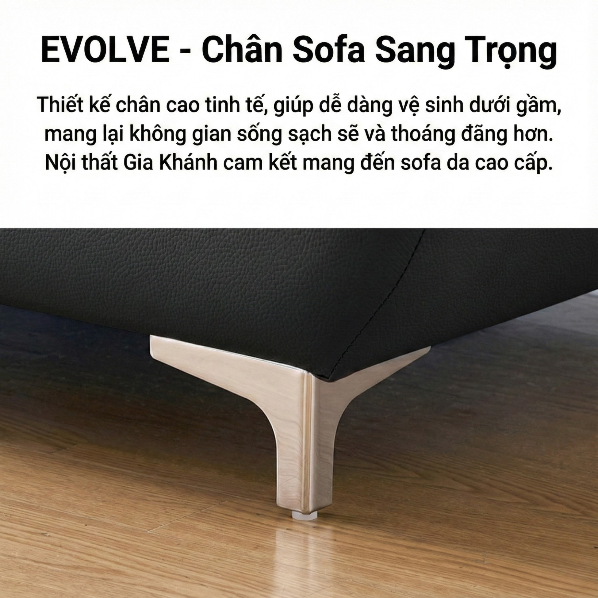 sofa evolve hiện đại