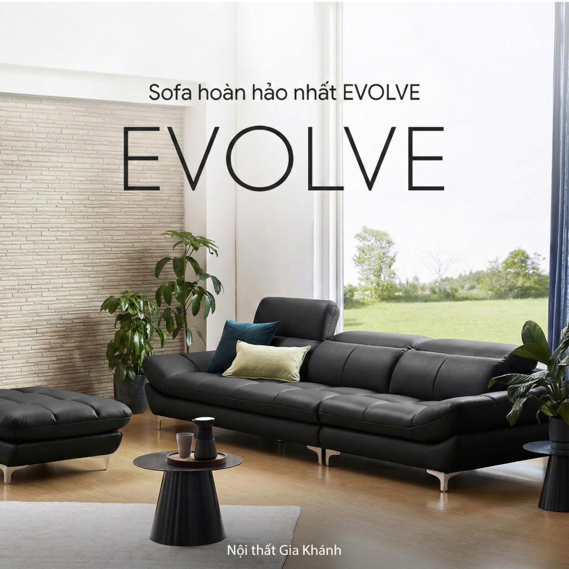 sofa evolve hiện đại
