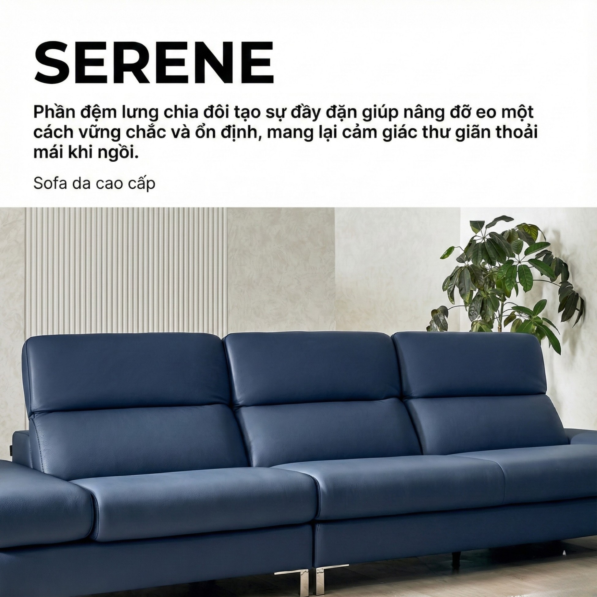 Sofa SERENE - Sofa Da Hiện Đại Đầy Đỉnh Cao Cho Sự Êm Ái