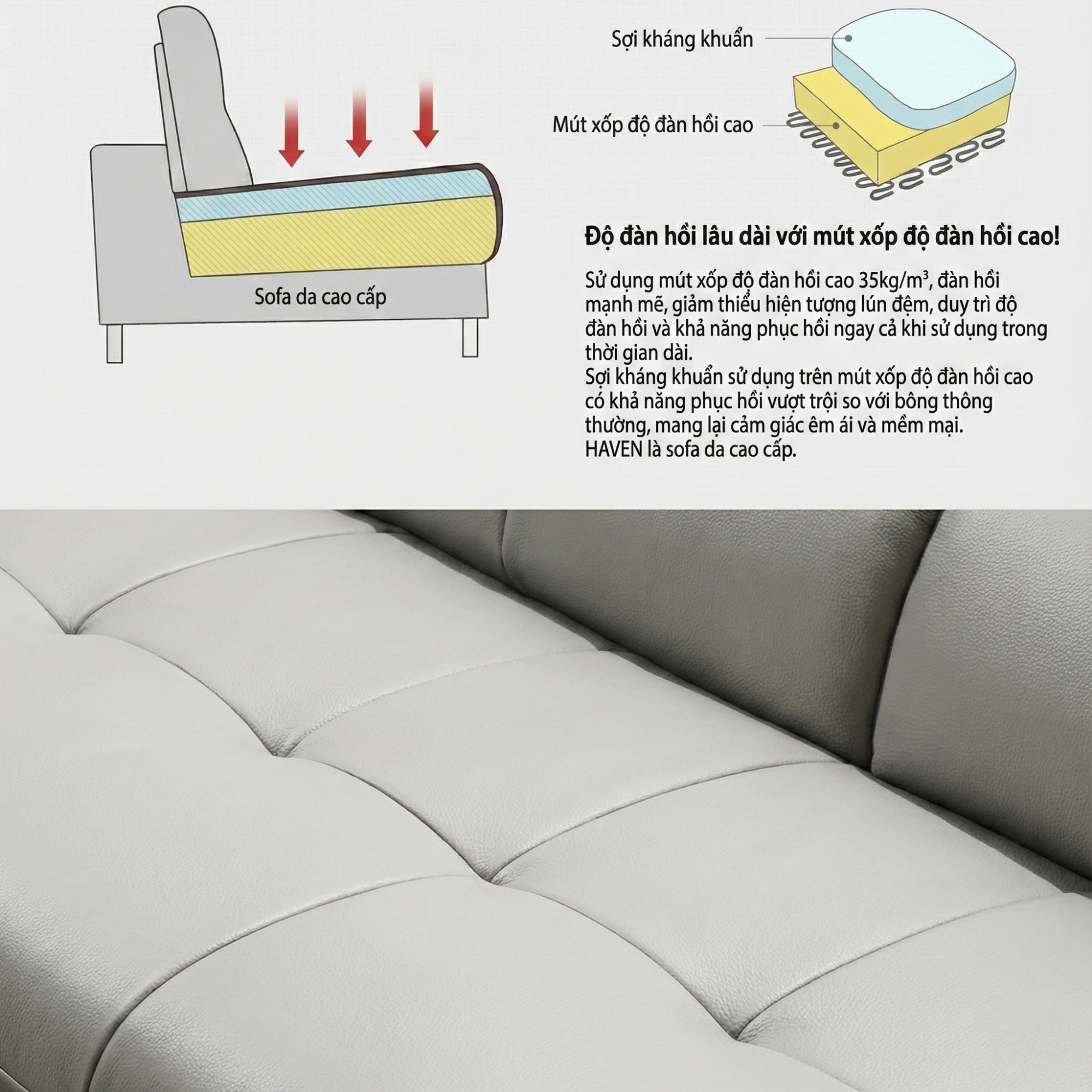 sofa hiện đại bọc da haven