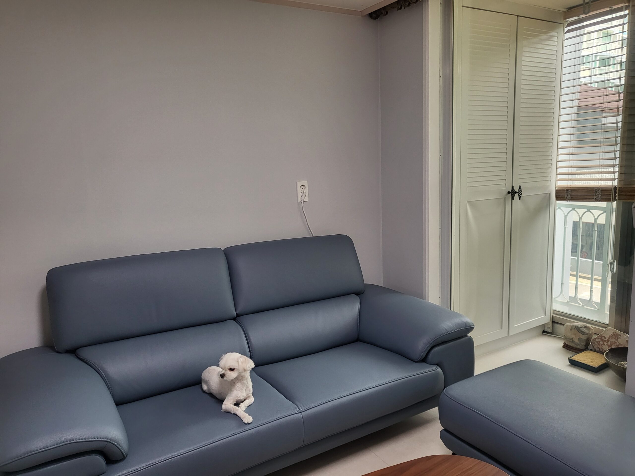 Sofa CONTOUR - Sofa Băng Nhỏ Gọn 2 Chỗ Cho Chung Cư