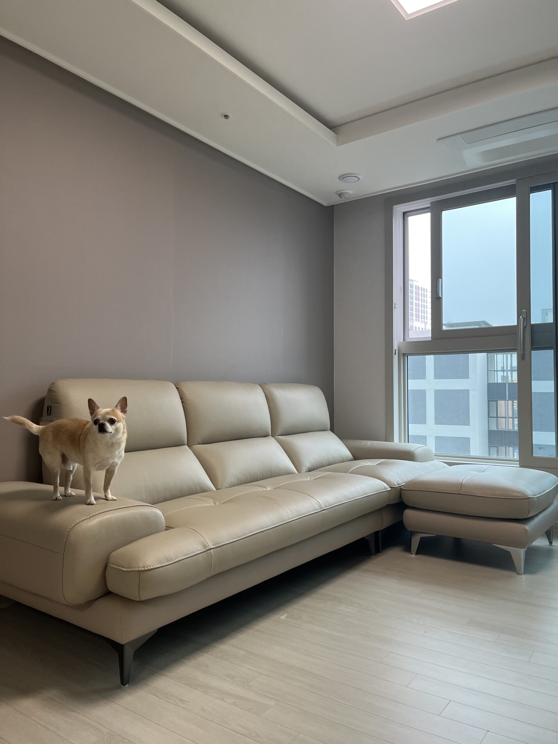 Sofa FAIRCOME - Sofa Băng Bọc Da Êm Ái Đem Đến Thoải Mái