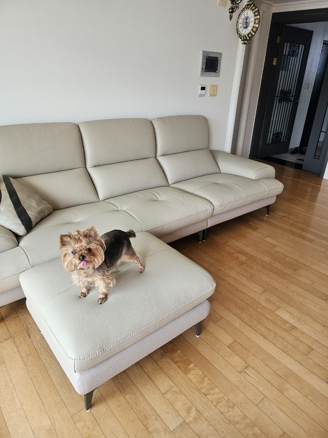 Sofa FAIRCOME - Sofa Băng Bọc Da Êm Ái Đem Đến Thoải Mái