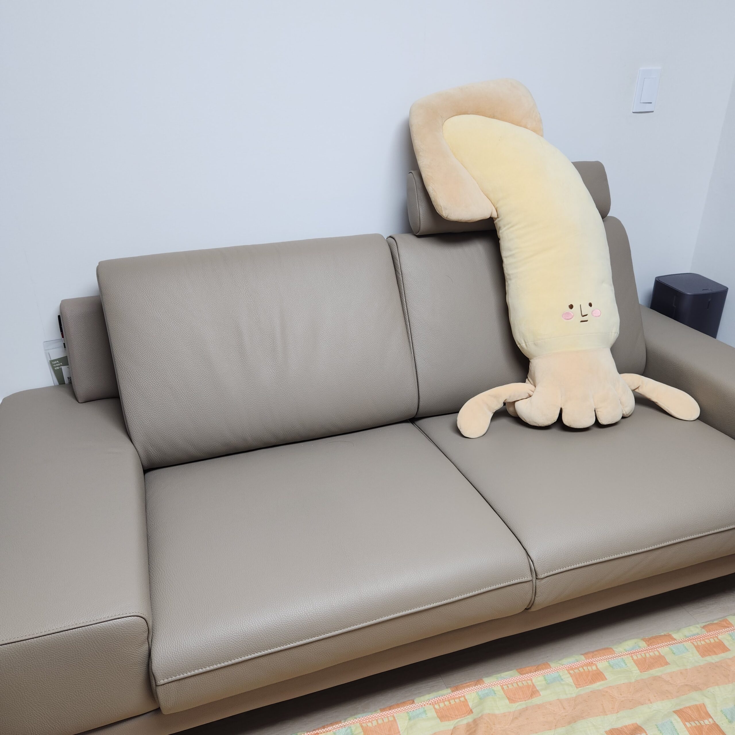 Sofa KYNEX - Sofa Băng Trang Nhã Đơn Giản Cho Phòng Khách Nhỏ