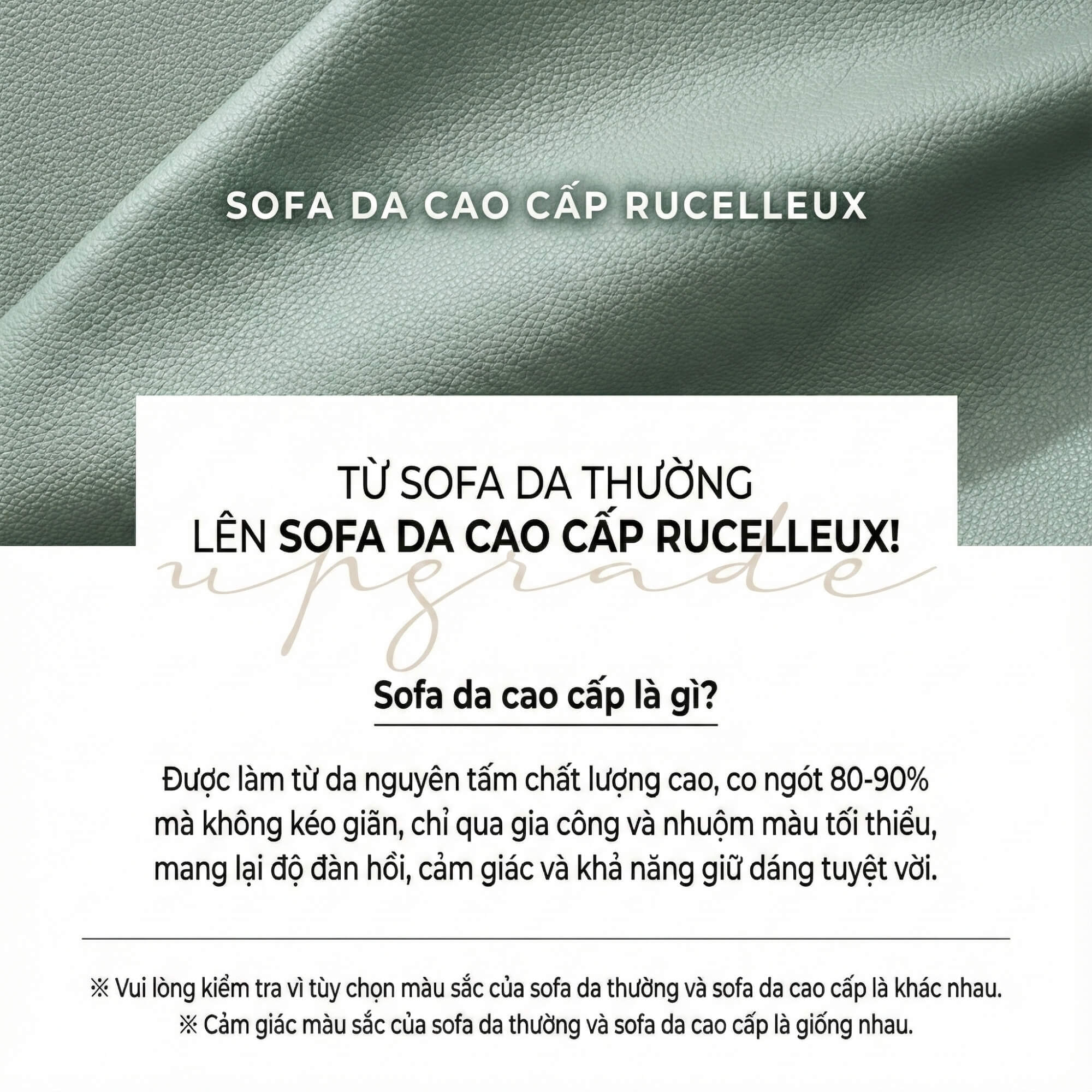 Sofa RUCELLEUX - Sofa Băng Cỡ Lớn Thiết Kế Tối Giản Hiện Đại