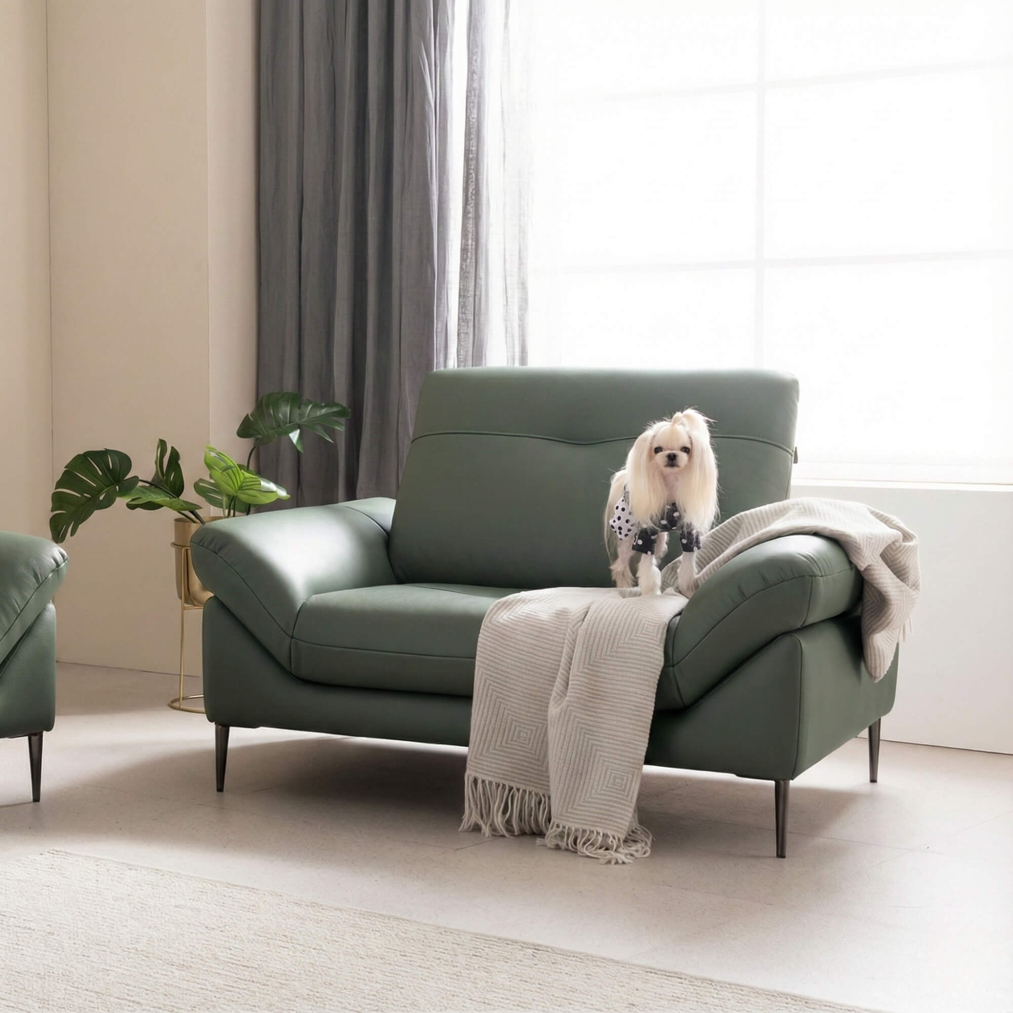 Sofa RUEVA - Sofa Đơn Cỡ Lớn Thư Giãn Cho Gia Đình 