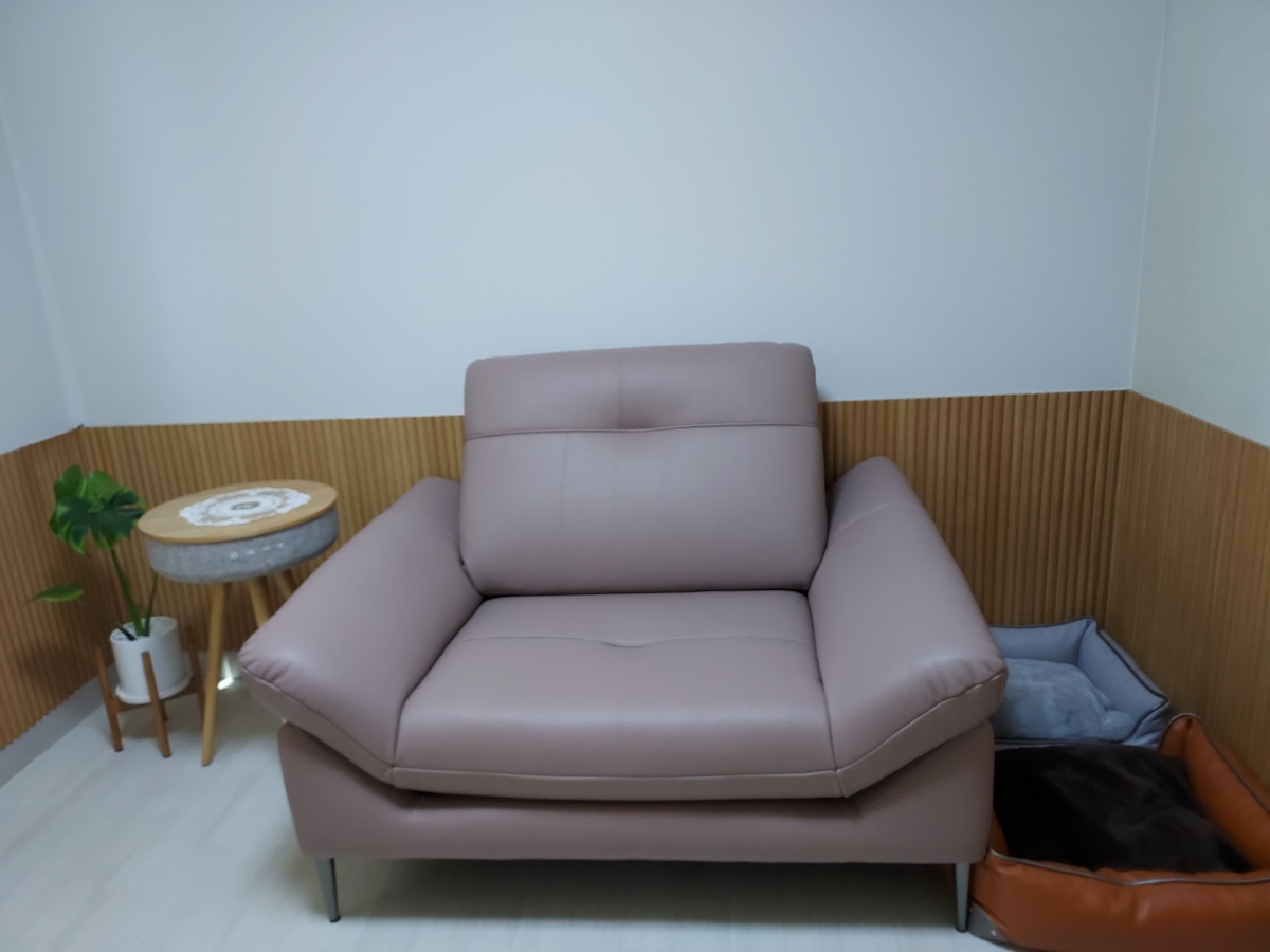 Sofa RUEVA - Sofa Đơn Cỡ Lớn Thư Giãn Cho Phòng Khách